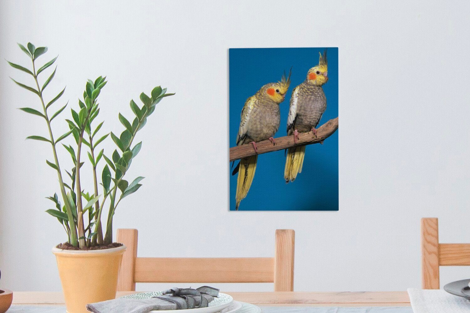 OneMillionCanvasses® Leinwandbild Zwei junge Zackenaufhänger, Leinwandbild (1 fertig Kakadus Ast, St), auf 20x30 cm bespannt Gemälde, inkl. einem