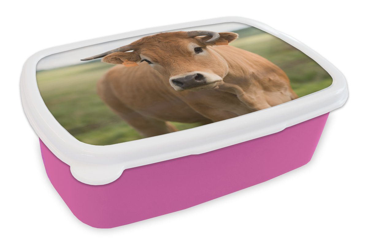 MuchoWow Lunchbox Kuh - Horn - Porträt, Kunststoff, (2-tlg), Brotbox für Erwachsene, Brotdose Kinder, Snackbox, Mädchen, Kunststoff rosa