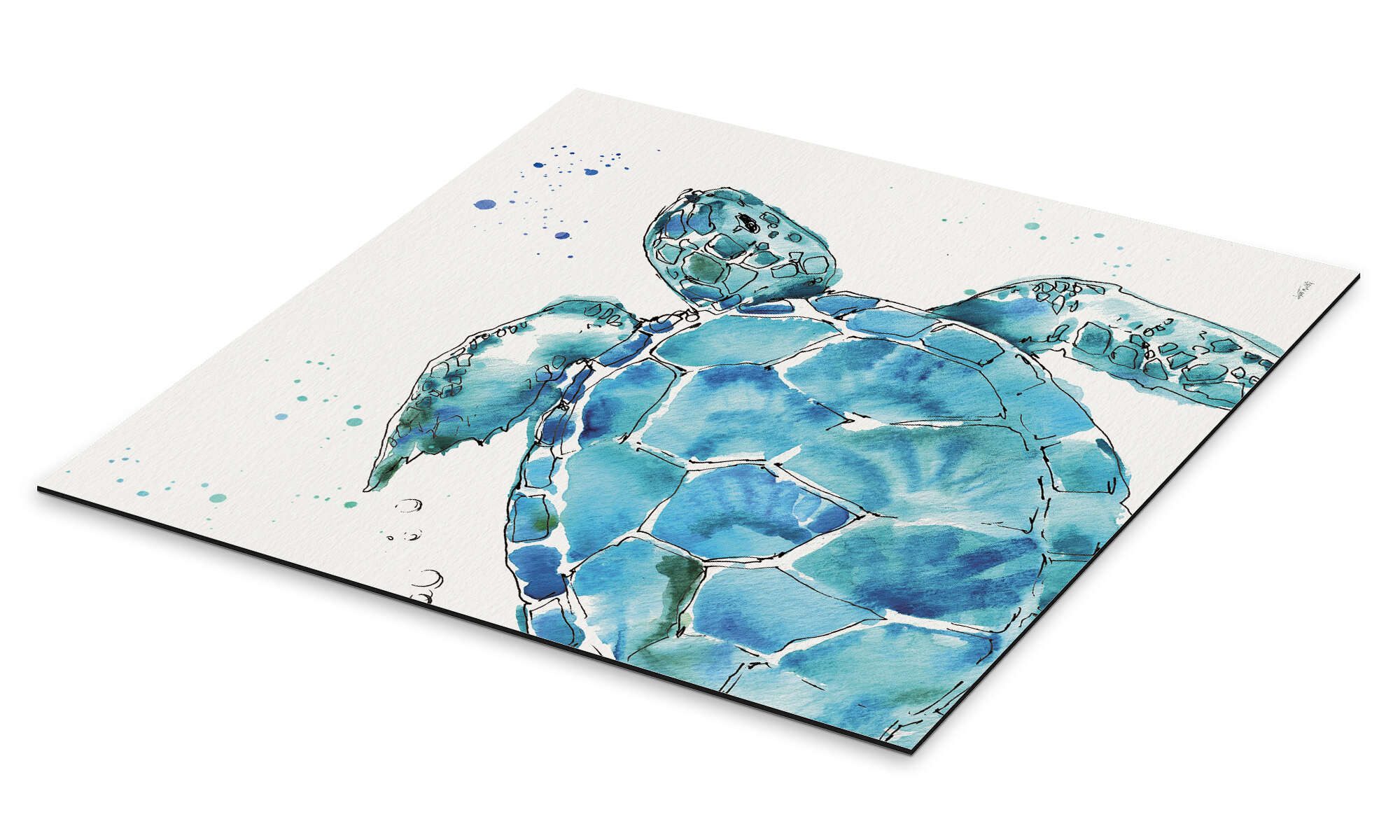 Posterlounge Wandbild Schildkröte IX, Anne Tavoletti, erhältlich als Poster, Leinwandbild, Wandsticker oder Acrylglasbild
