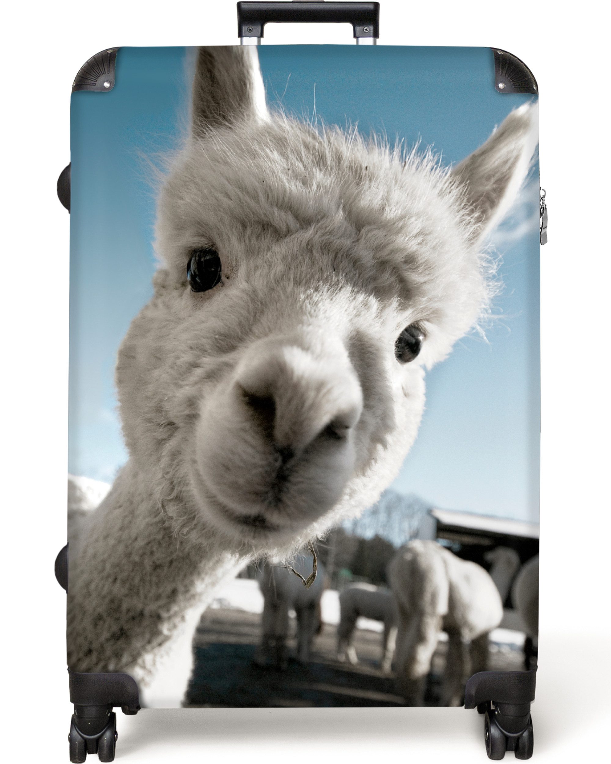 NoBoringSuitcases.com© Hartschalen-Trolley Alpaka - Weiß - günstig online kaufen