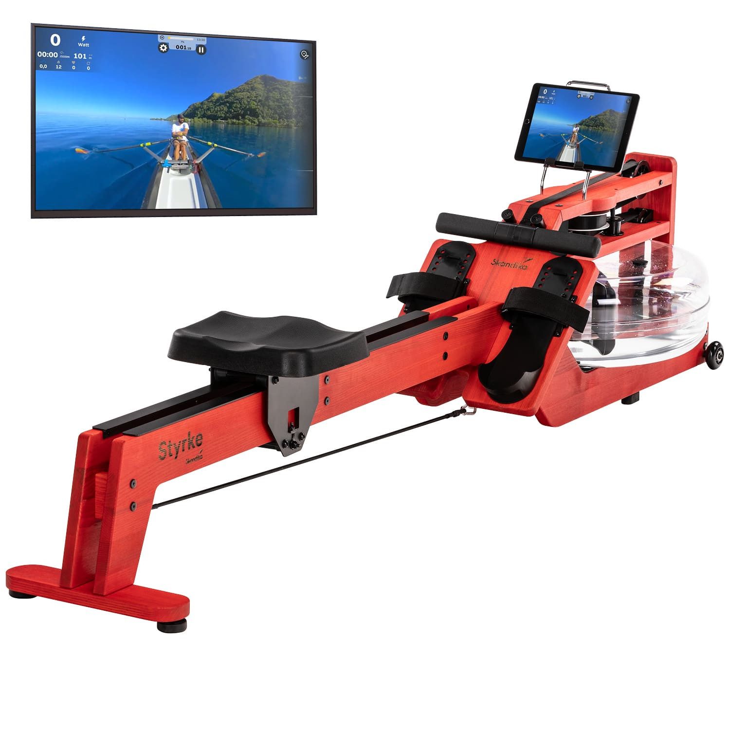 Skandika Rudergerät Styrke Premium, Rudermaschine aus Holz, für Zuhause, Wasser (Transportrollen gummiert, kugelgelagert, Max. Benutzergröße 200 cm), Esche, Made in Germany, farbig geölt, bis 180 kg, Kinomap, Bluetooth