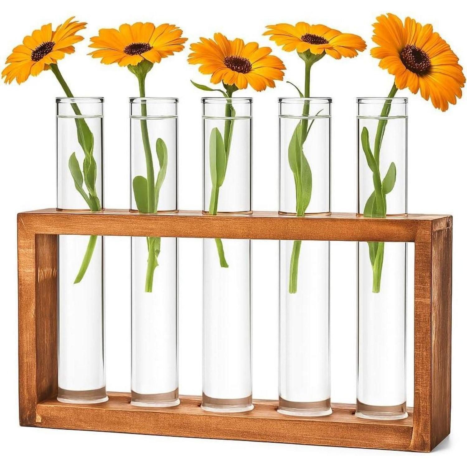 LuxusKollektion Tischvase Reagenzgläser Blumenvase Set für Hydrokultur Pflanzen-Küche/Wohnzimmer (1 St)