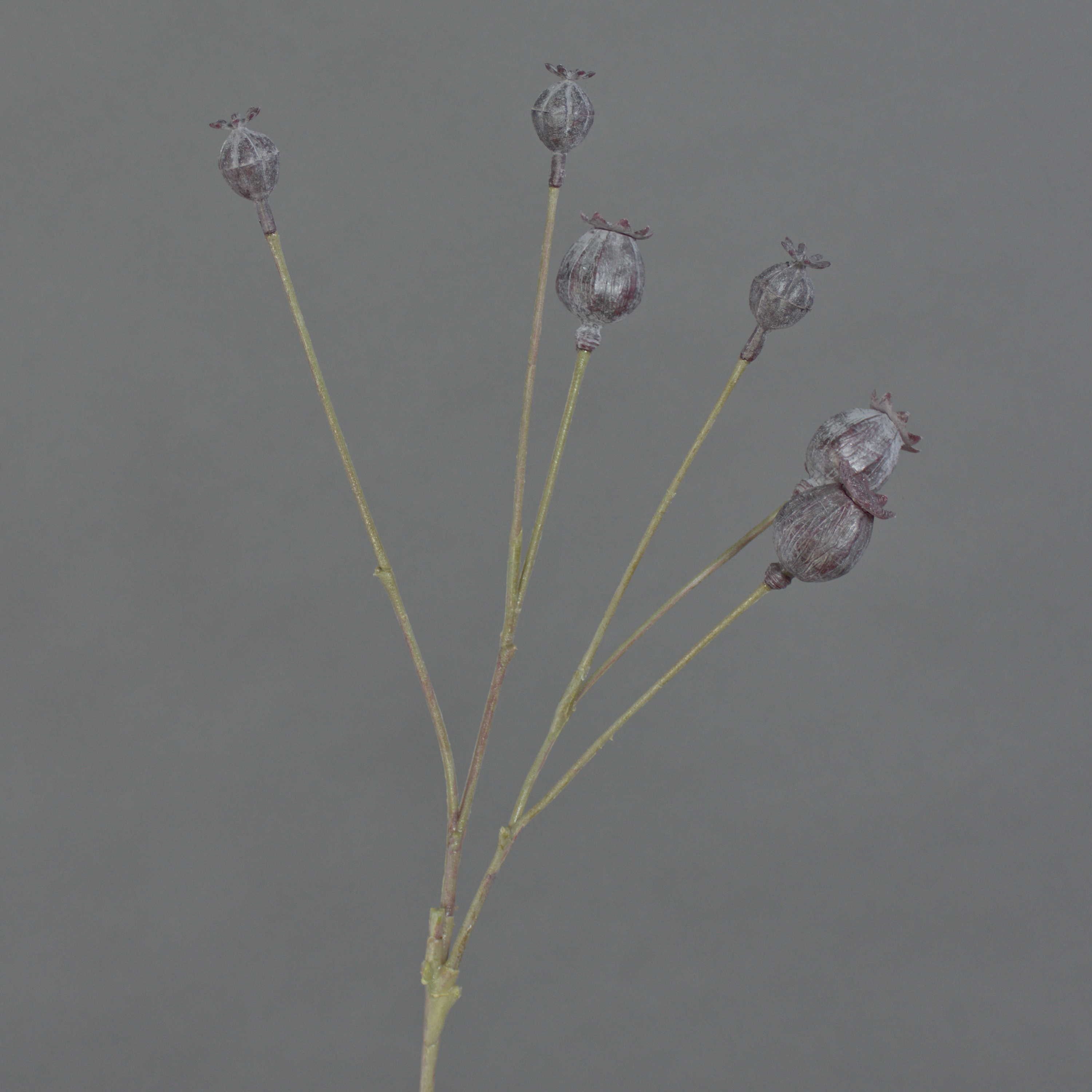 Kunstzweig Kunst Mohnkapseln ASUMAN, Dunkelbraun, 70cm Mohnblume, artplants, Höhe 70.0 cm