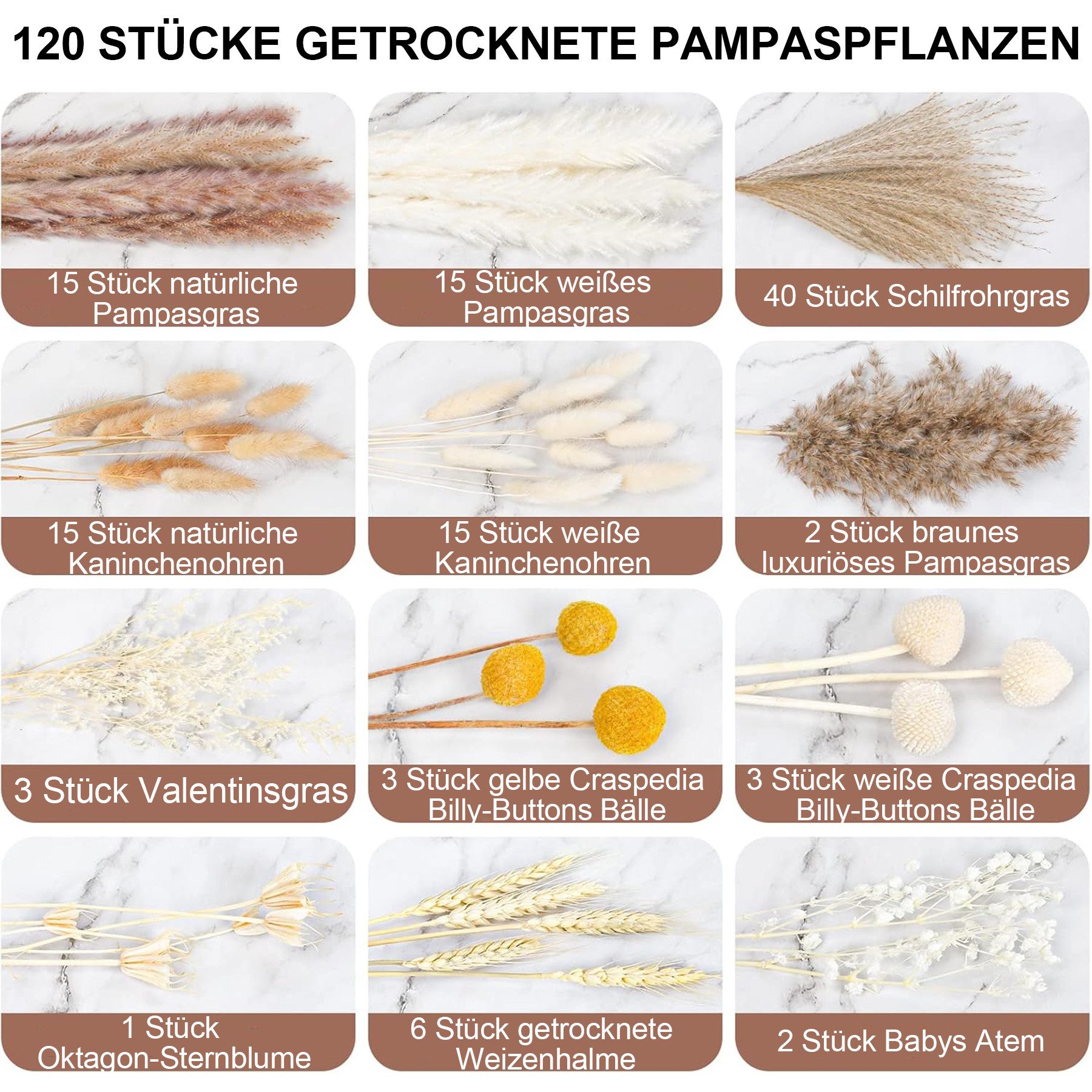 Trockenblume 120 Stück Pampasgras Getrocknet Natürliche Trockenblumen Deko günstig online kaufen
