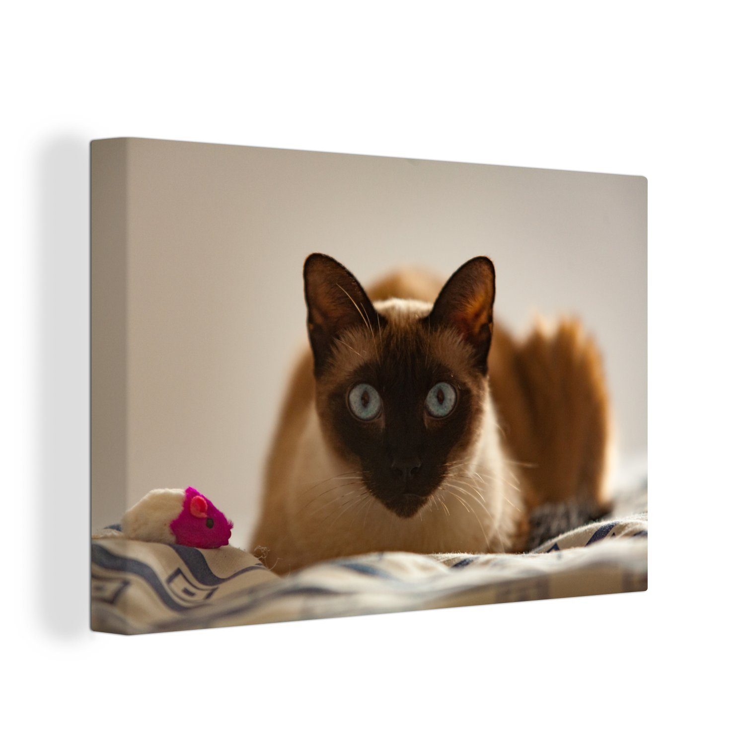 Bett, (1 dem Leinwandbild Wanddeko, auf Aufhängefertig, Wandbild OneMillionCanvasses® 30x20 Leinwandbilder, cm St), Siamkatze