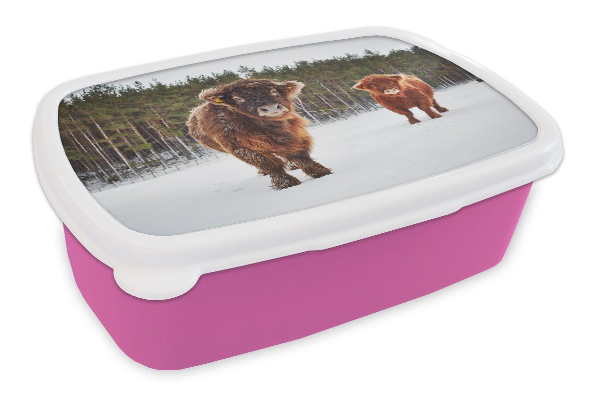 MuchoWow Lunchbox Schottische Highlander - Kunststoff, Schnee Kinder, Kunststoff Brotdose Brotbox (2-tlg), für - rosa Snackbox, Mädchen, Kühe, Erwachsene