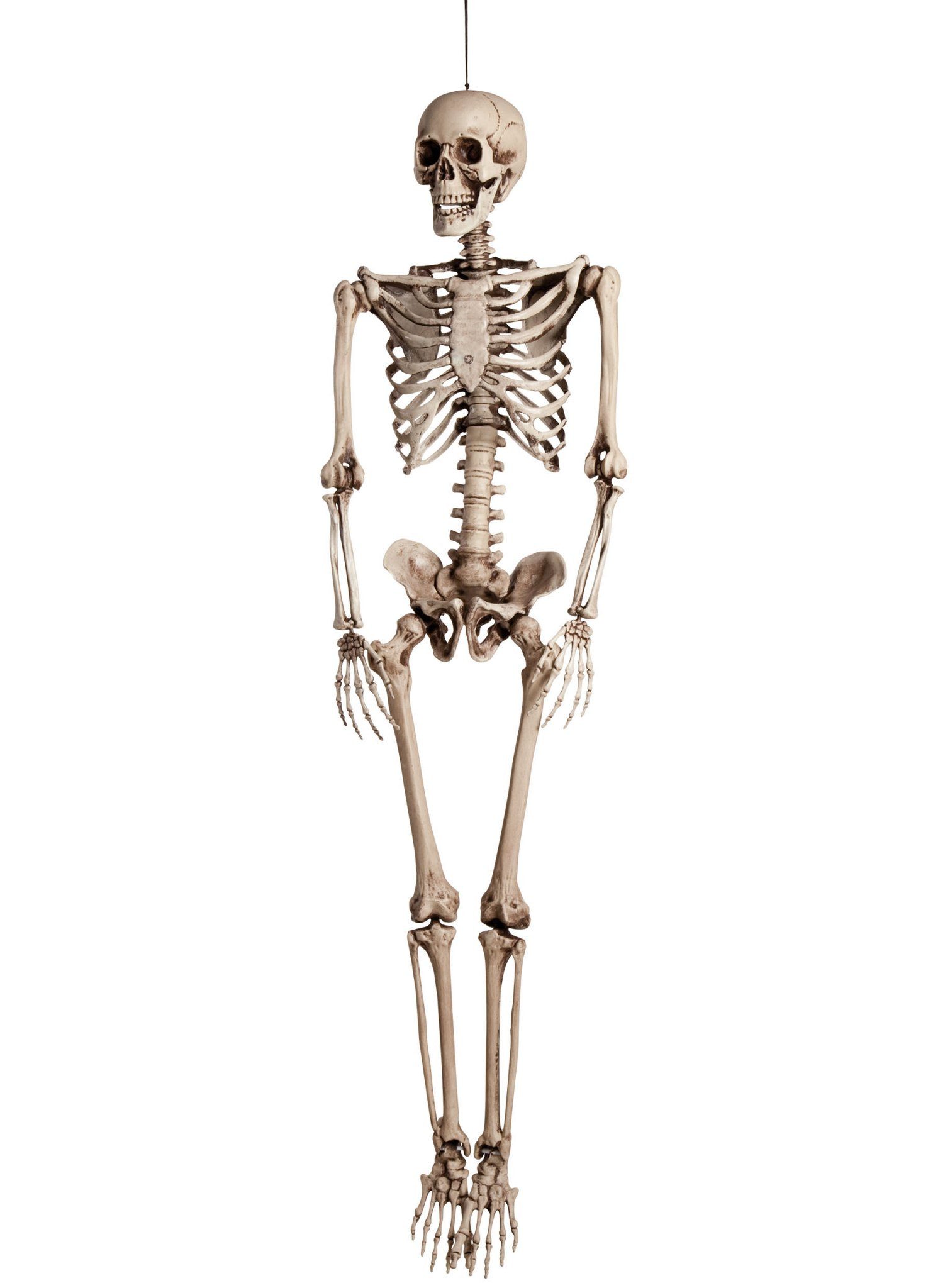 Dekofigur Skelett Halloween Dekoration