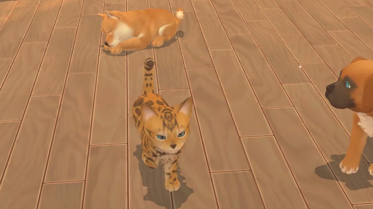 Katzenbabys - Hunde- My Nintendo Switch Universe und Astragon