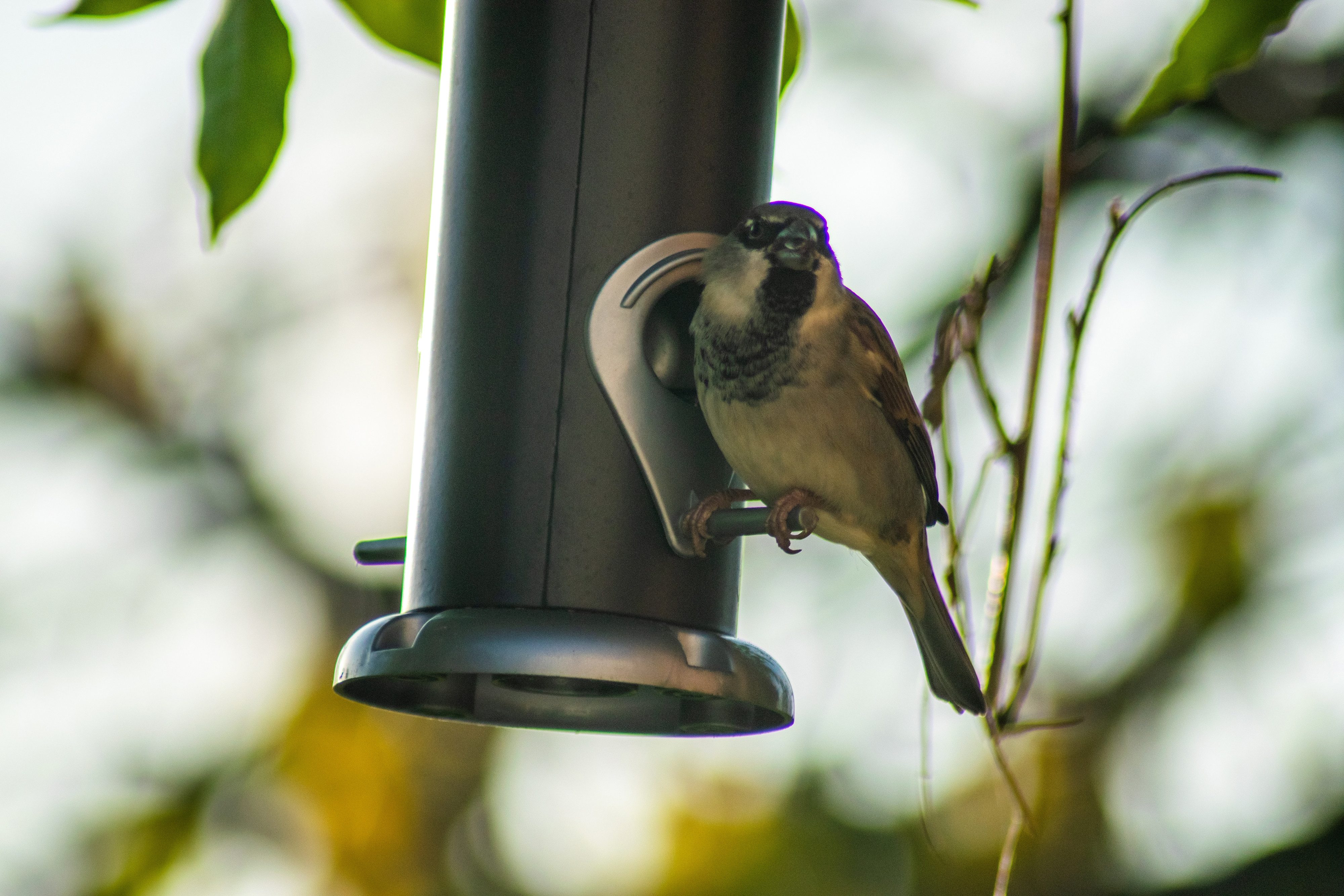 dobar Futterhaus Robuste Futtersäule aus Metall, Schwarz/Silber