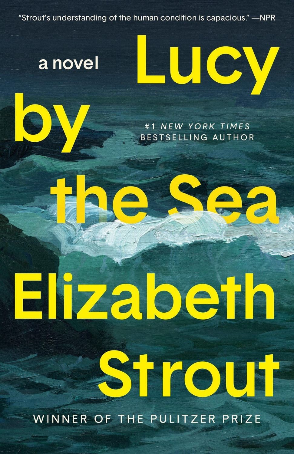 Lucy by the Sea / Elizabeth Strout