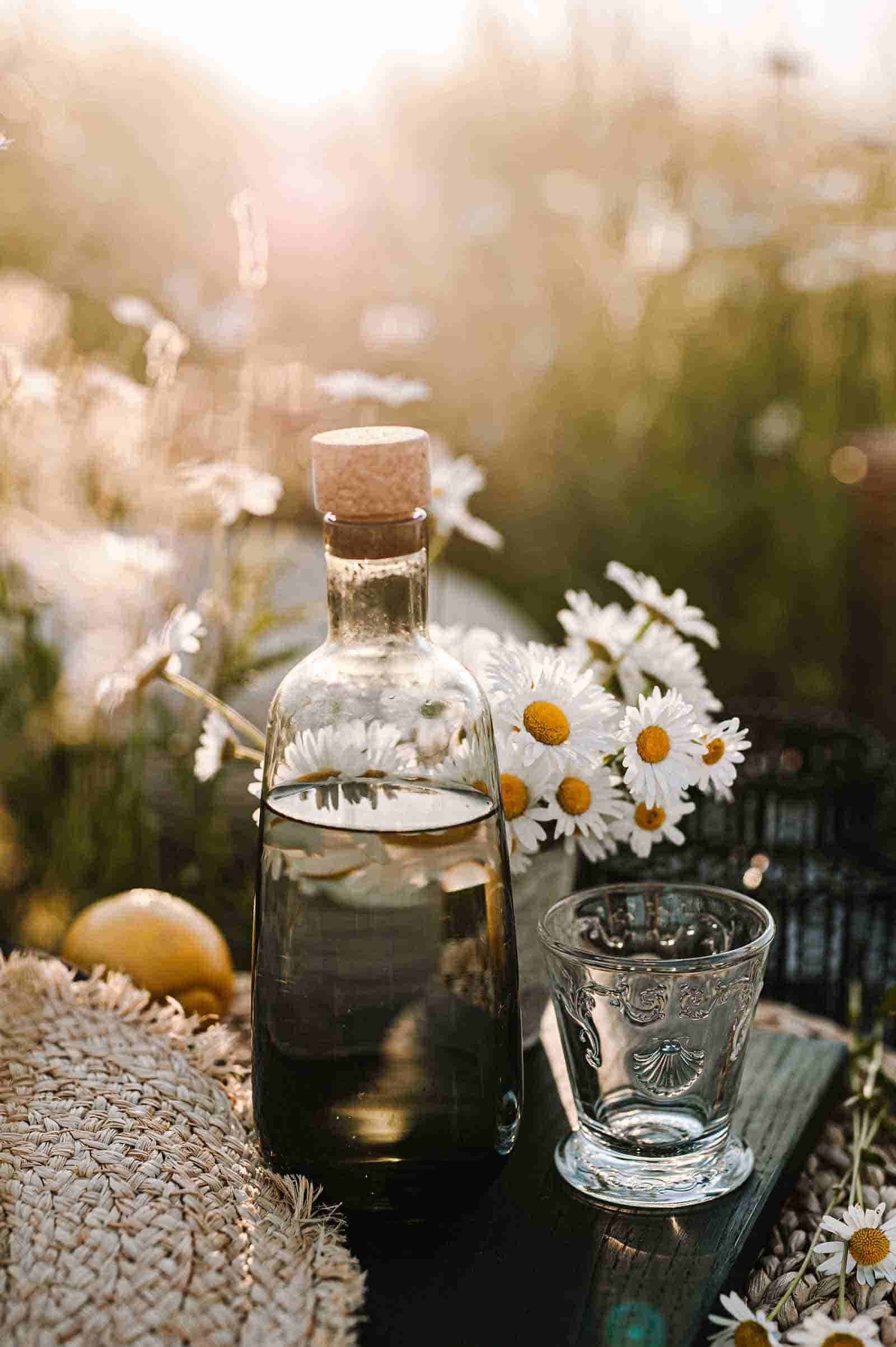 La Rochere Glas Versailles Wassergläser 250 ml 6er Set, 6-tlg., Glas