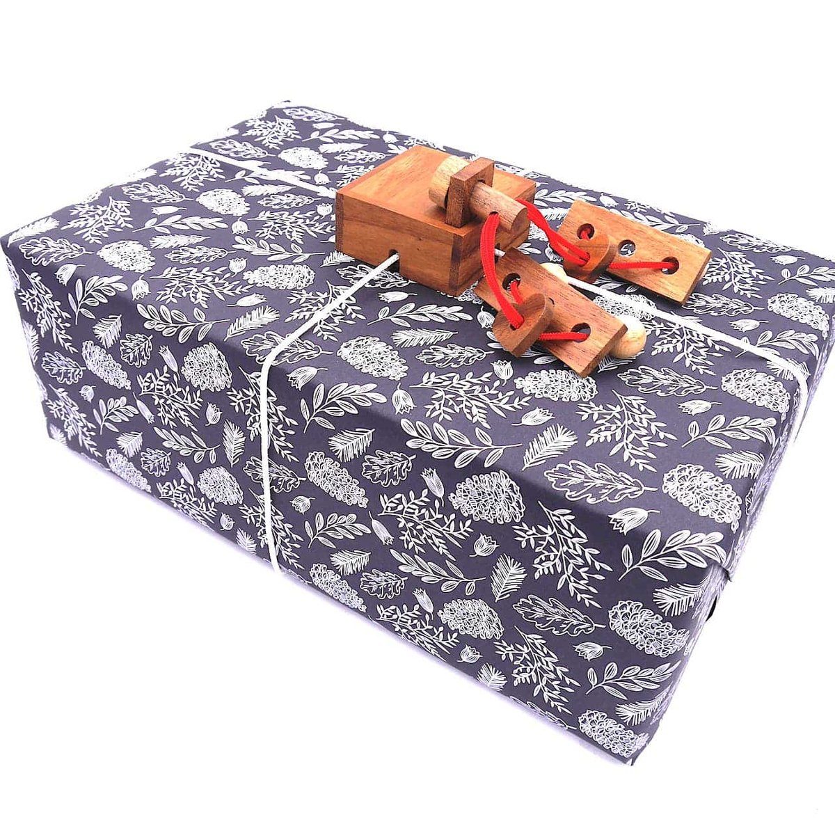 ROMBOL Denkspiele Spiel, Geschenkverpackung KEEPR - Der Geschenkesafe, kreative Geschenkverpackung für Geburtstage, wiederverwendbar Oak Island