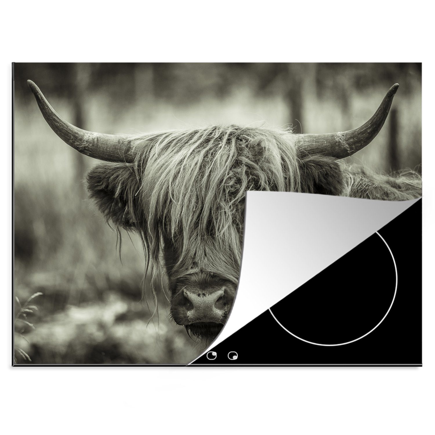 MuchoWow Herdblende-/Abdeckplatte Scottish Highlander - Kühe - Schwarz - Weiß, Vinyl, (1 tlg), 70x52 cm, Mobile Arbeitsfläche nutzbar, Ceranfeldabdeckung