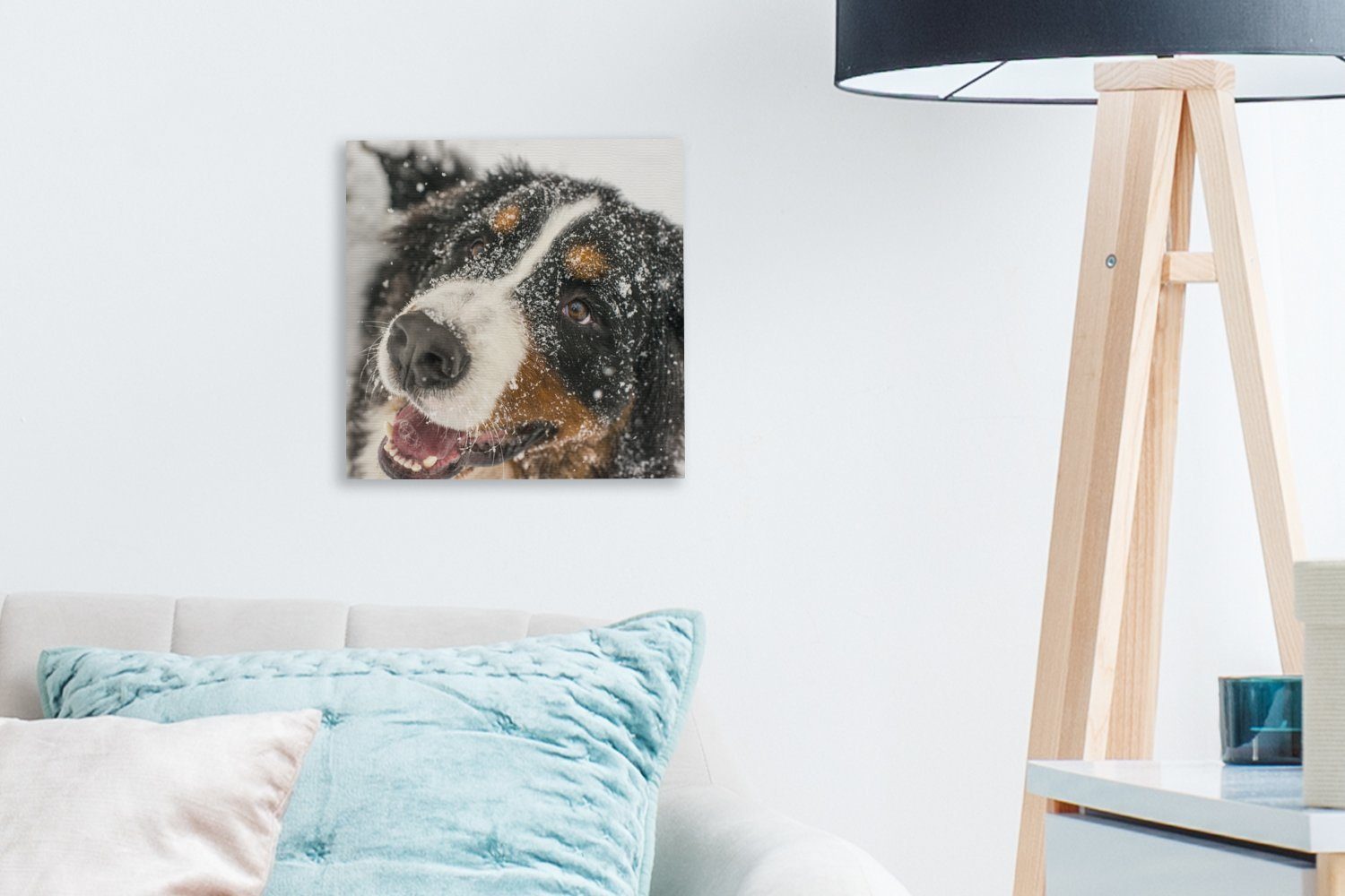 Leinwandbild Schlafzimmer Ein (1 Schnee, Sennenhund Berner Leinwand Wohnzimmer für dem unter Bilder OneMillionCanvasses® St),