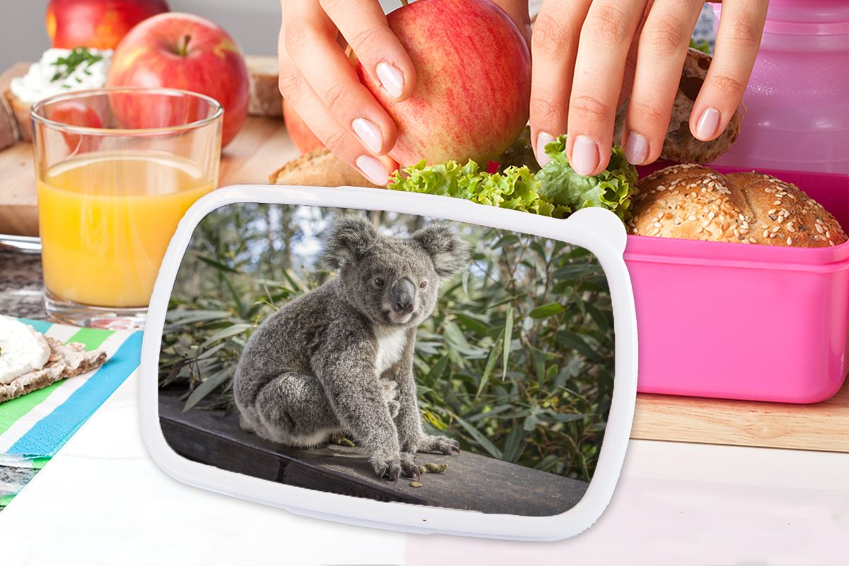 für - Kunststoff Mädchen, Lunchbox - MuchoWow (2-tlg), - Kunststoff, Koala Mädchen, Regal Brotbox rosa Kinder - Pflanzen Brotdose Snackbox, Erwachsene, Jungen - Kinder,