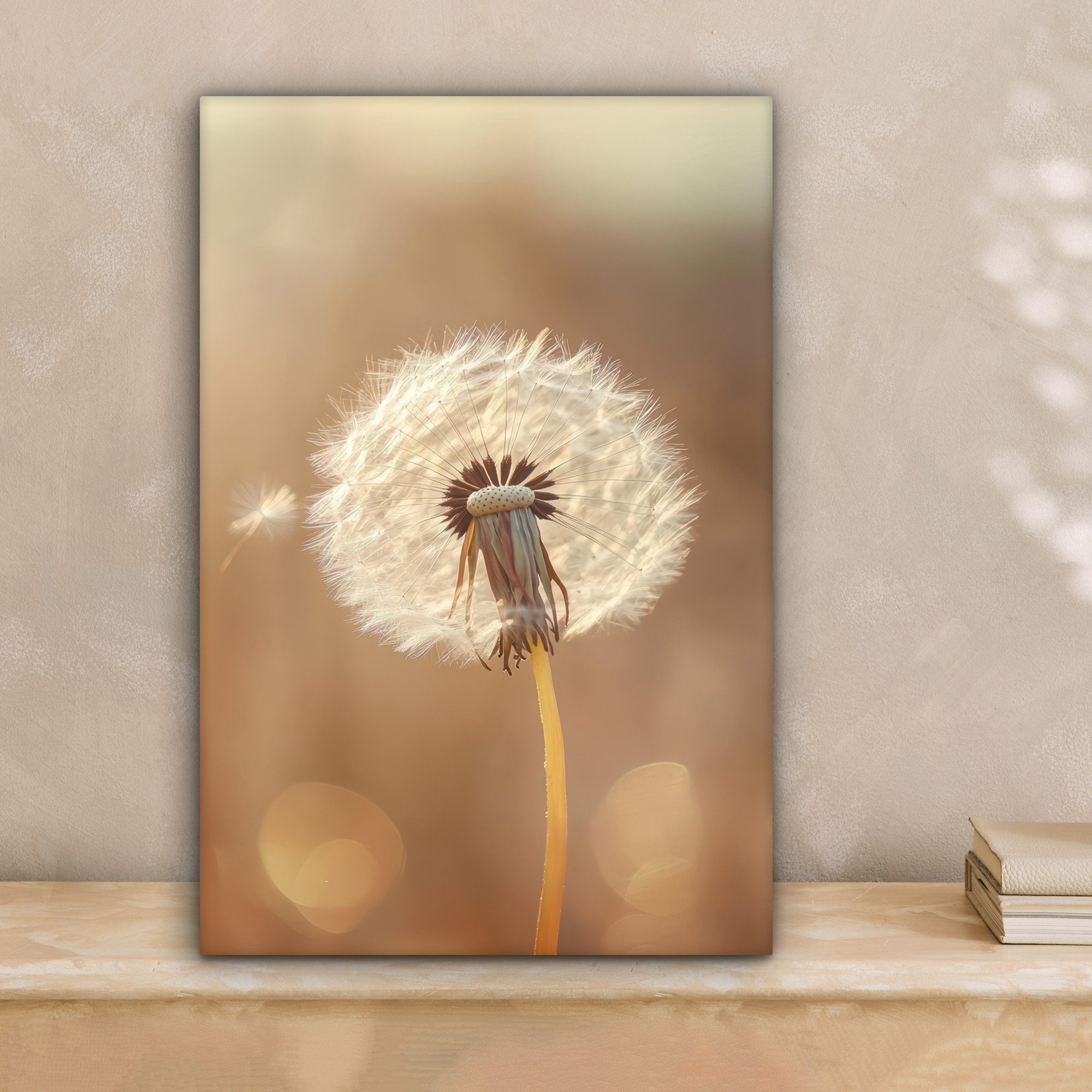 OneMillionCanvasses® Leinwandbild Löwenzahn - Beige - Natur - Blume, Fotodr günstig online kaufen
