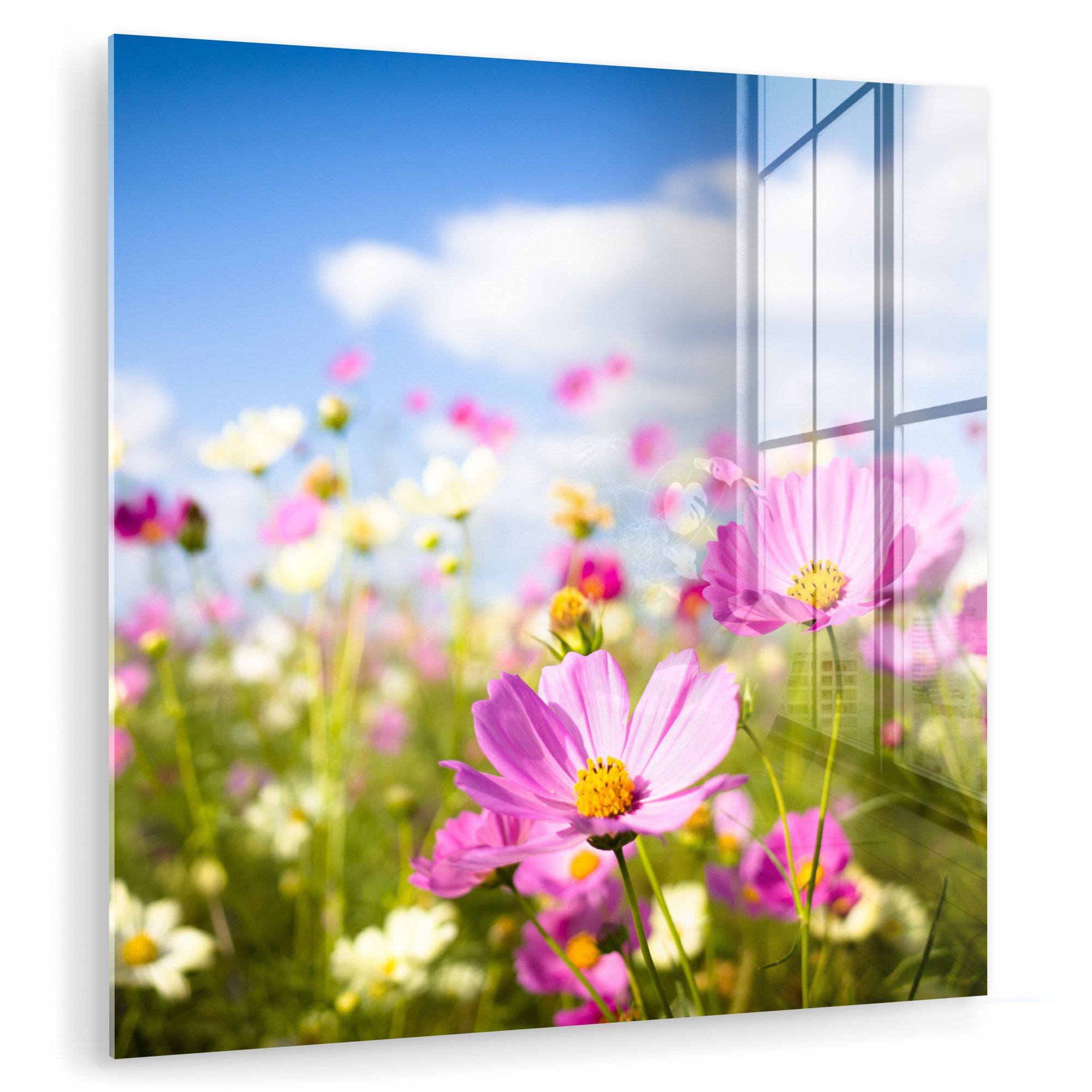 MuchoWow Acrylglasbild Blumen - Wiese - günstig online kaufen