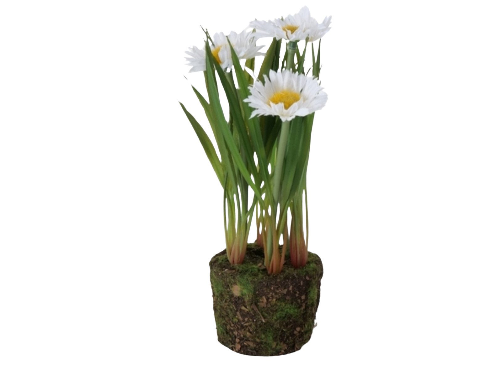 Kunstpflanze Margerite Kunstpflanze 20 cm