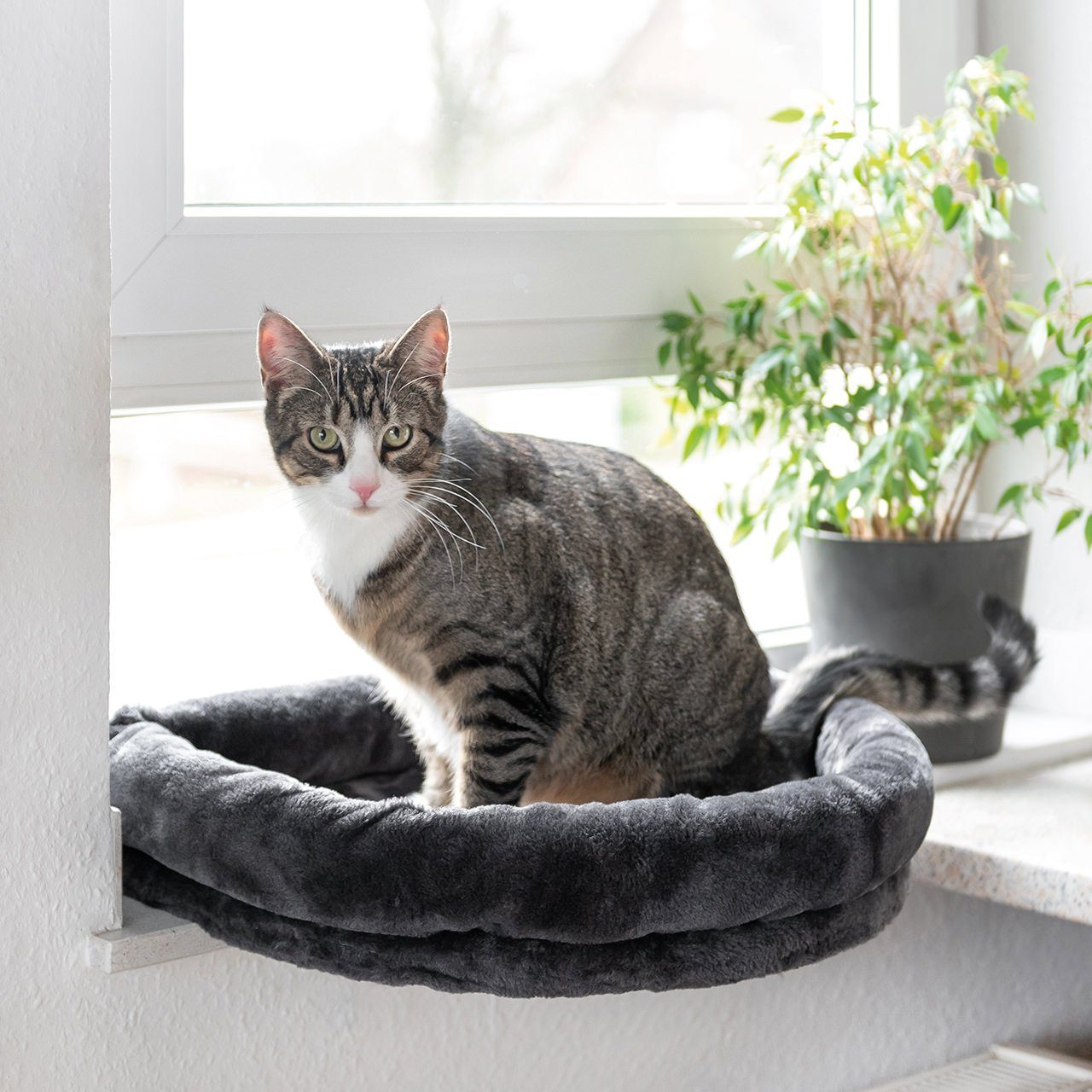Canadian Cat Company Katzenliege LOVESEAT Fensterbett, anthrazit, ca. 55x47 günstig online kaufen