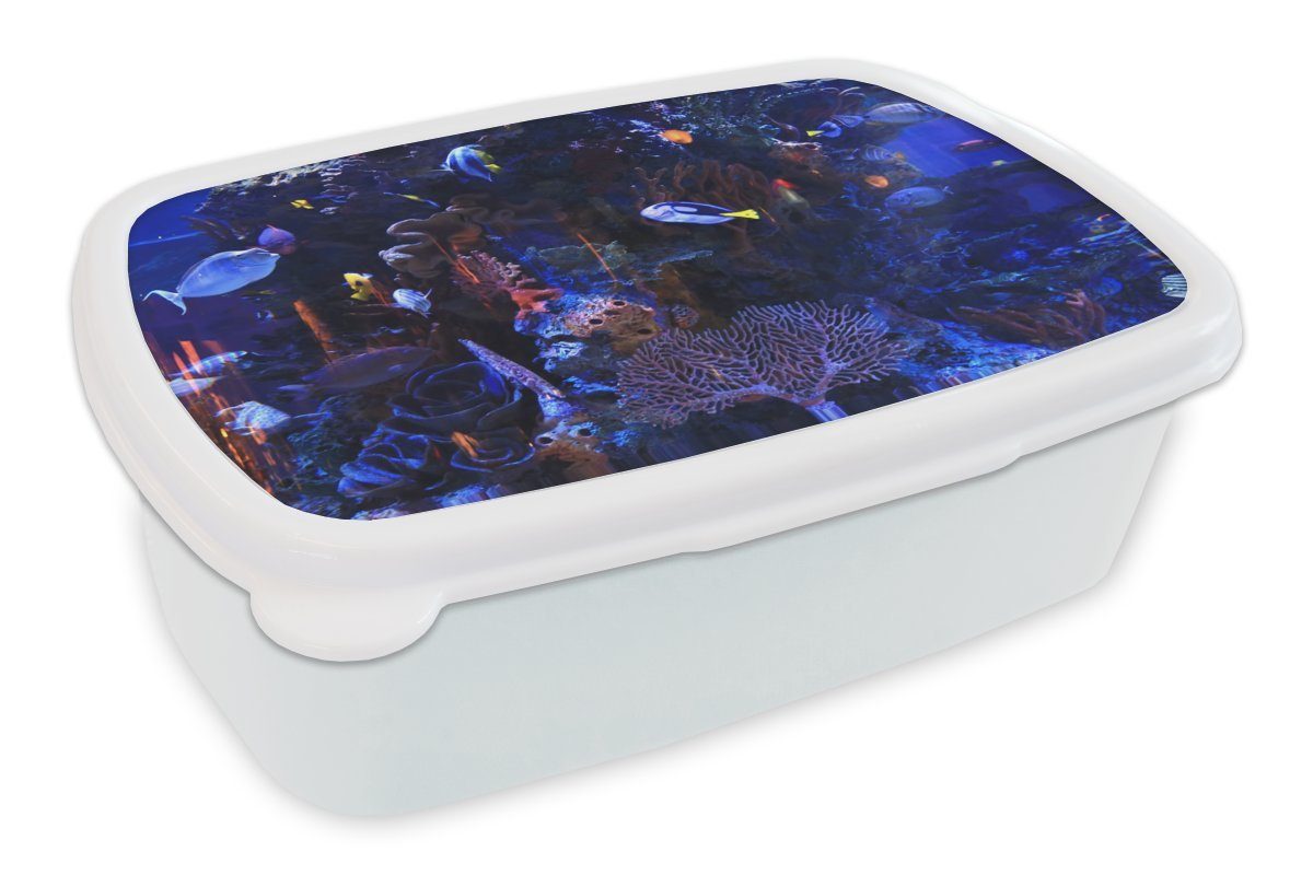 MuchoWow Lunchbox Tropisches Meerwasseraquarium, Kunststoff, (2-tlg), Brotbox für Kinder und Erwachsene, Brotdose, für Jungs und Mädchen weiß