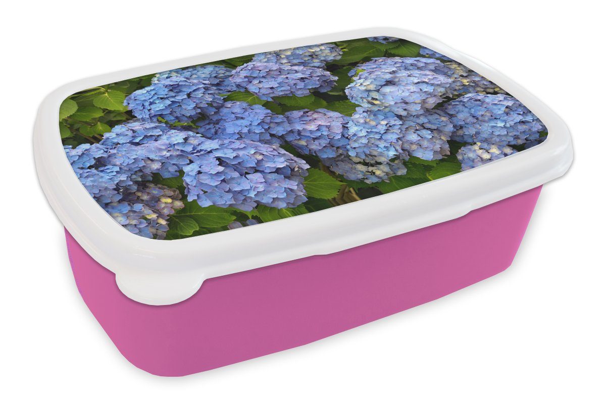 (2-tlg), Snackbox, MuchoWow Lunchbox Brotdose Mädchen, Brotbox rosa Kinder, Kunststoff aus Blumenstrauß Hortensien, Kunststoff, Erwachsene, für