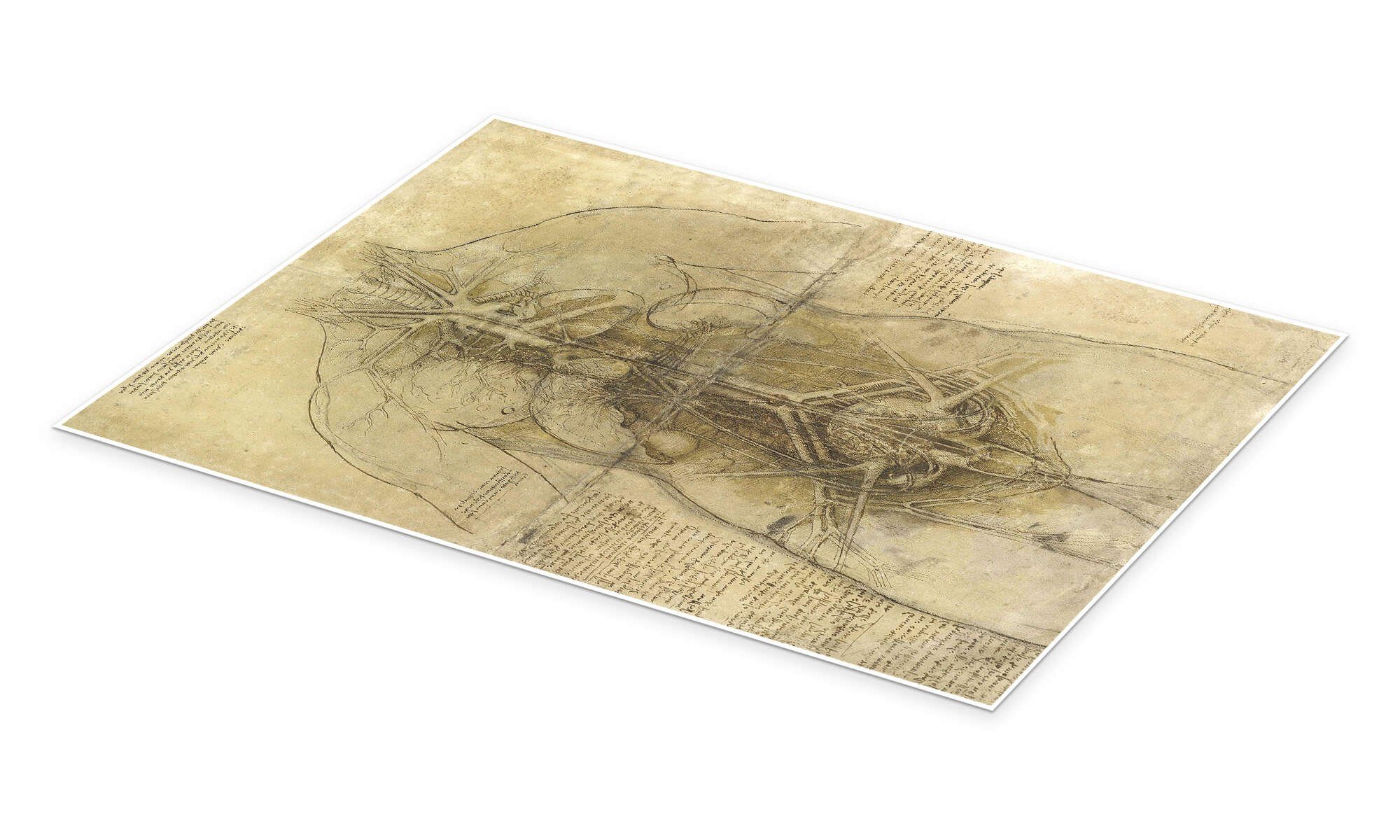 Posterlounge Wandbild Anatomie einer Frau, Leonardo da Vinci, erhältlich als Poster, Leinwandbild, Wandsticker oder Acrylglasbild