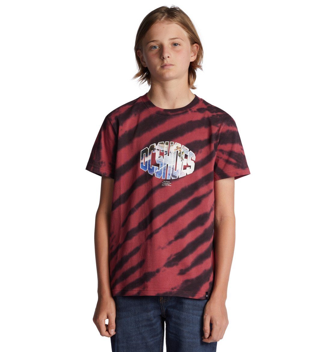 DC Shoes T-Shirt Wes