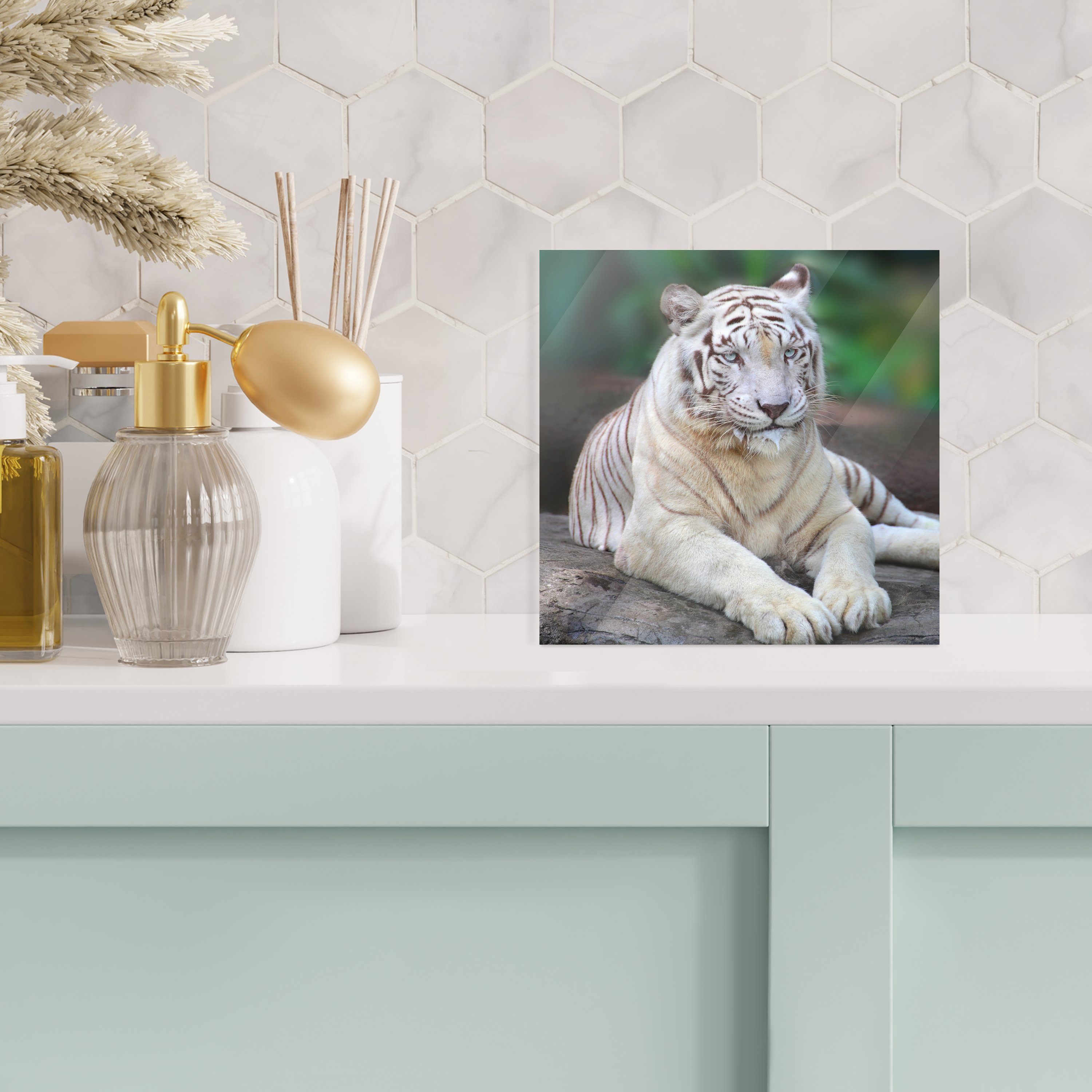 auf St), Wanddekoration auf - Wandbild Glas Glas Bilder - Wald, MuchoWow Acrylglasbild Weißer - Baumstamm Tiger (1 Glasbilder Foto - -