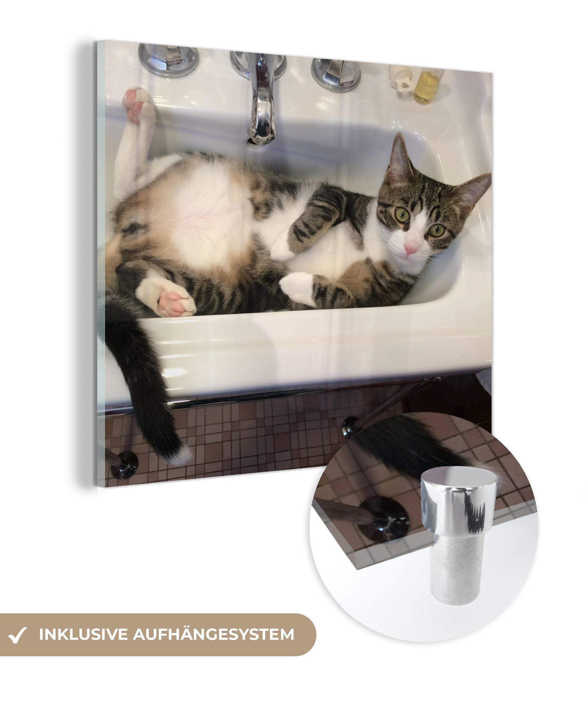 Acrylglasbild Katze - Waschbecken - Badezimmer