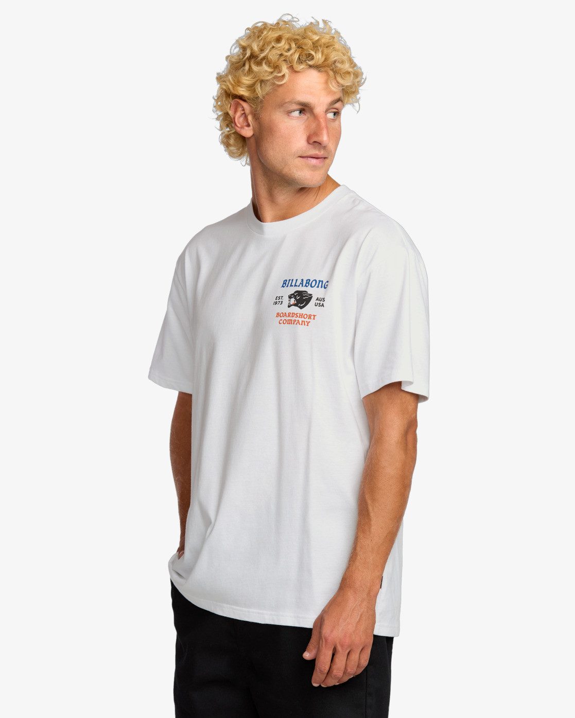 Billabong Print-Shirt Billabong Formidable Regular - T-Shirt