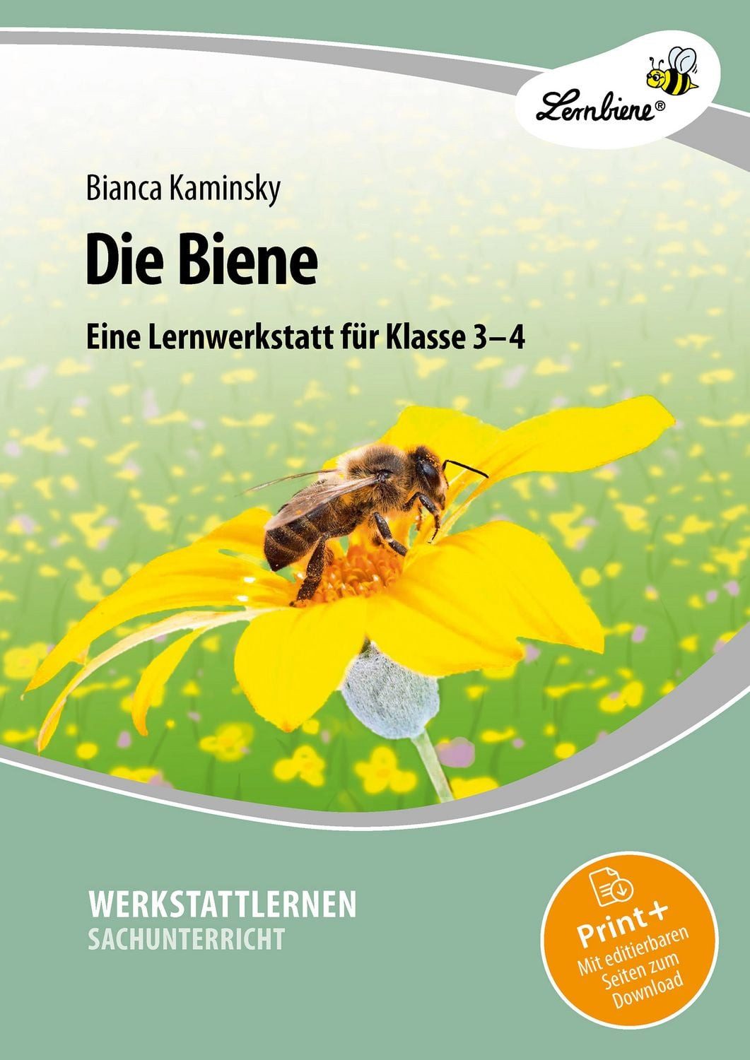 Schulbuch Die Biene (3. und 4. Klasse) Bianca Kaminsky