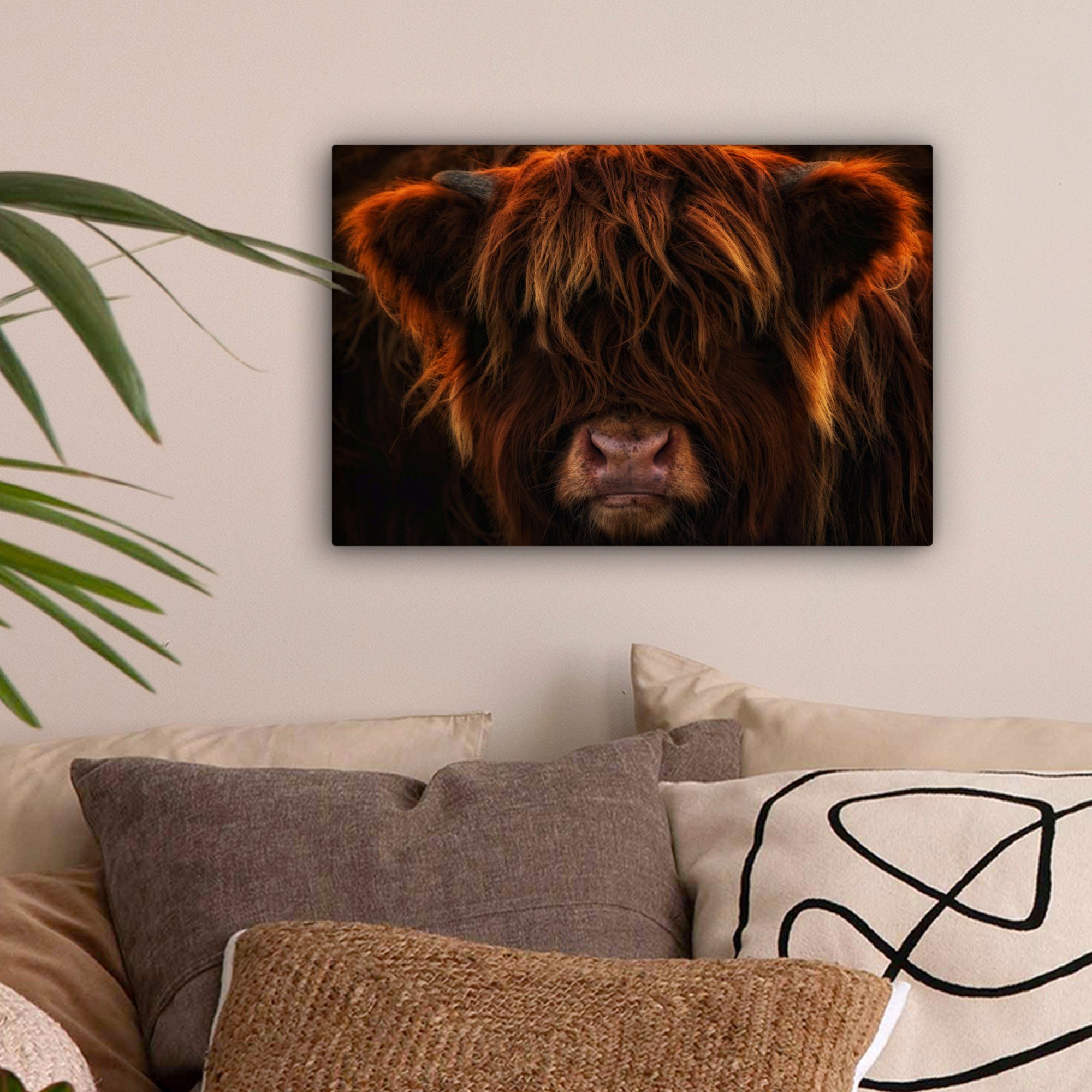 OneMillionCanvasses® Leinwandbild Schottischer Highlander - Kuh günstig online kaufen