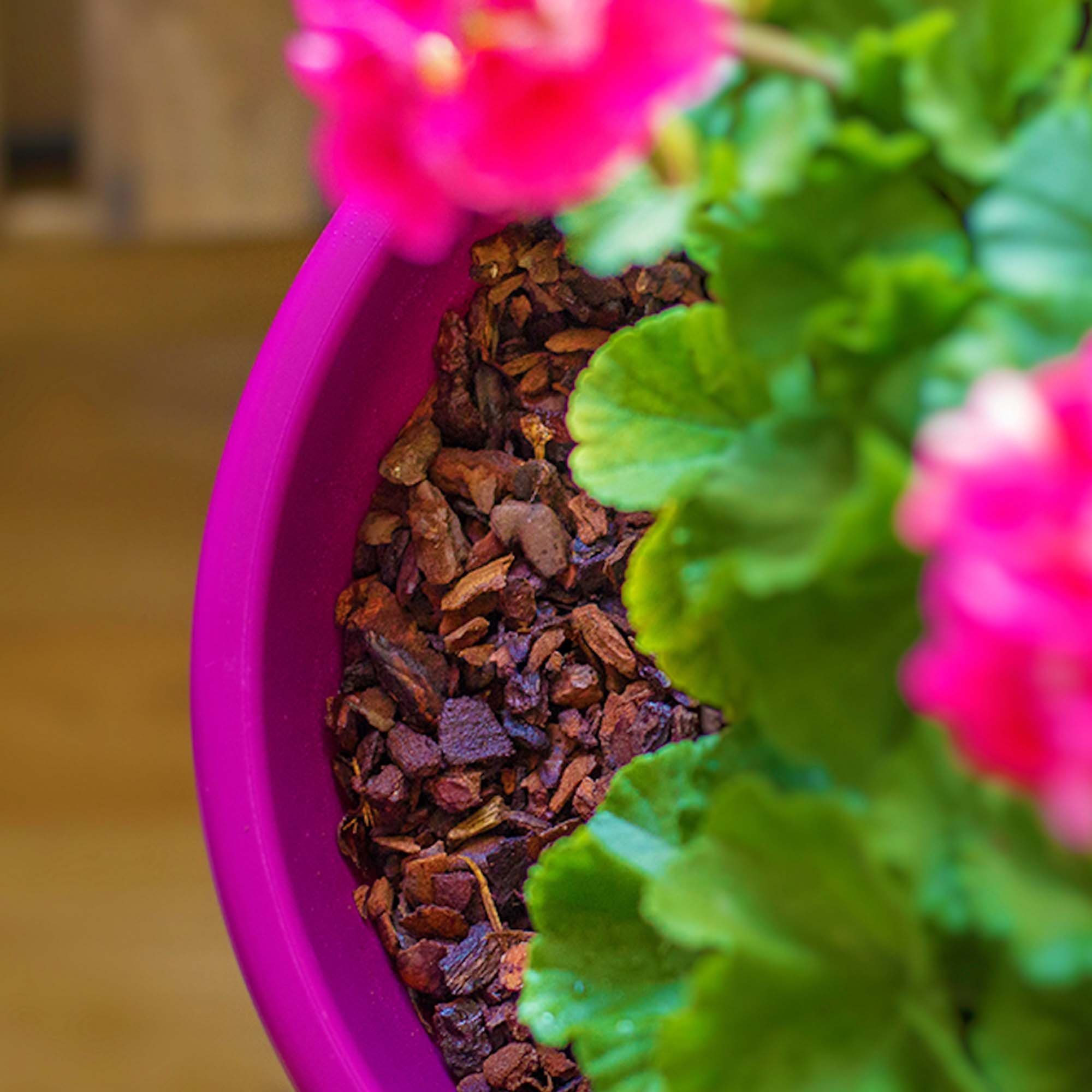 dr. Soil Rindenmulch Dr.Soil Dekorative Pinienrinde, 5 liter beutel, 5 l