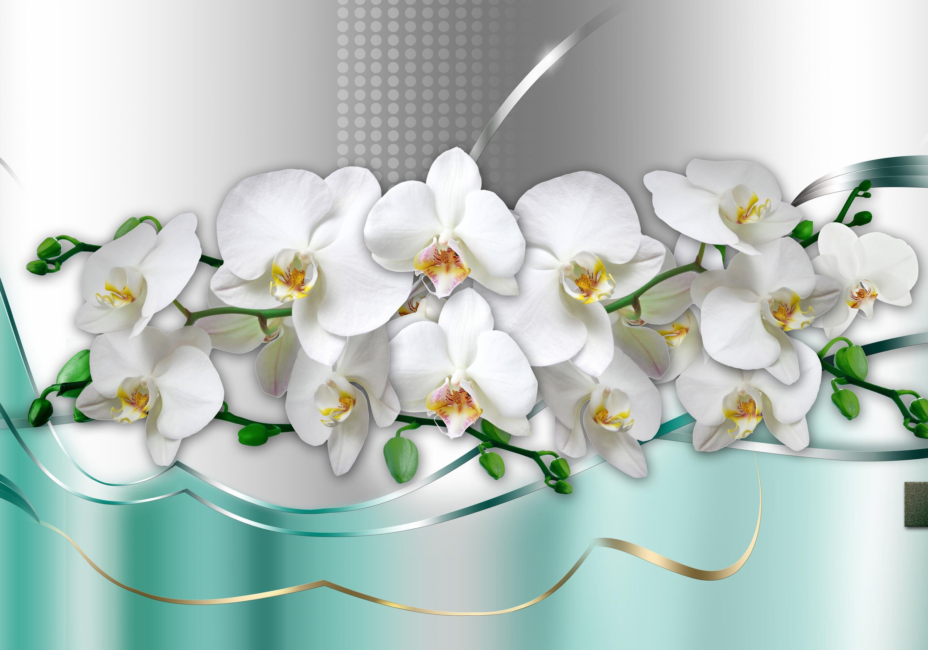 wandmotiv24 Fototapete weiße Orchideen Welle, glatt, Wandtapete, Motivtapete, matt, Vliestapete