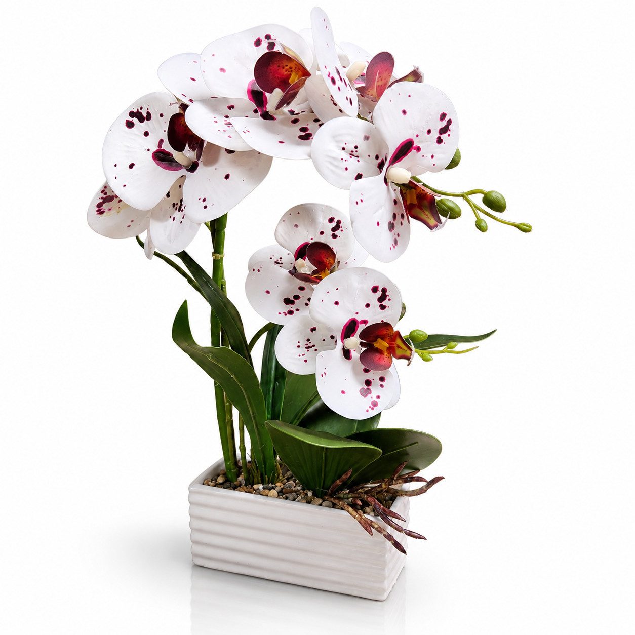 Kunstorchidee PASCH® Orchidee künstlich wie echt in Hochglanz-Keramiktopf Orchidee, PASCH, Hochglanz Keramiktopf
