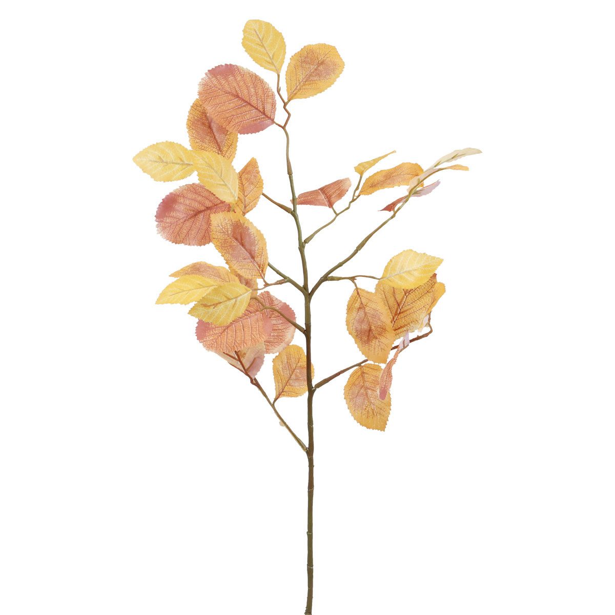 Florists Products Streudeko Herbstlicher Dekozweig Buche für kunstvolle Arrangements