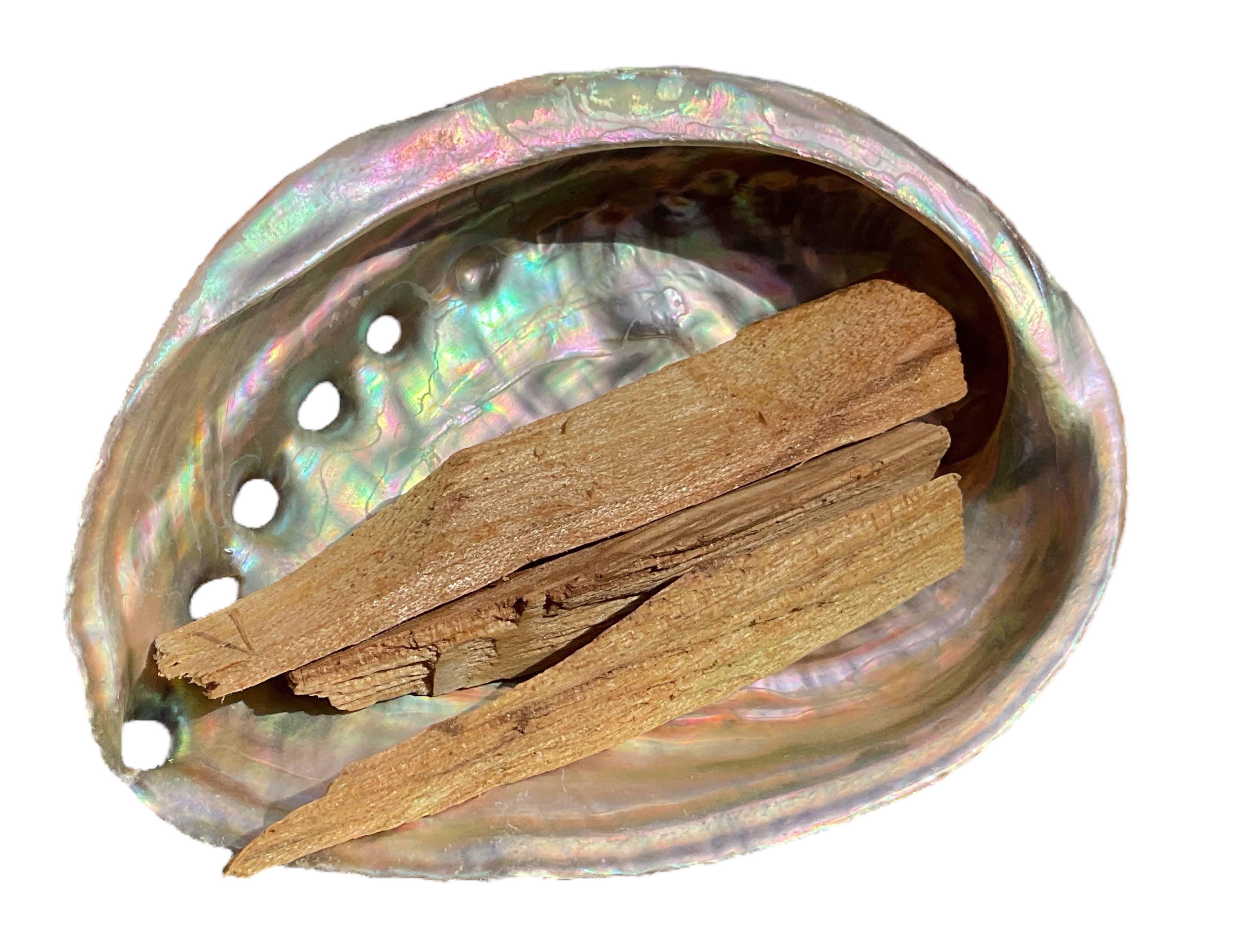 Dekoschale Abalone Paua Muschel I Räucherset mit Palo Santo Holz