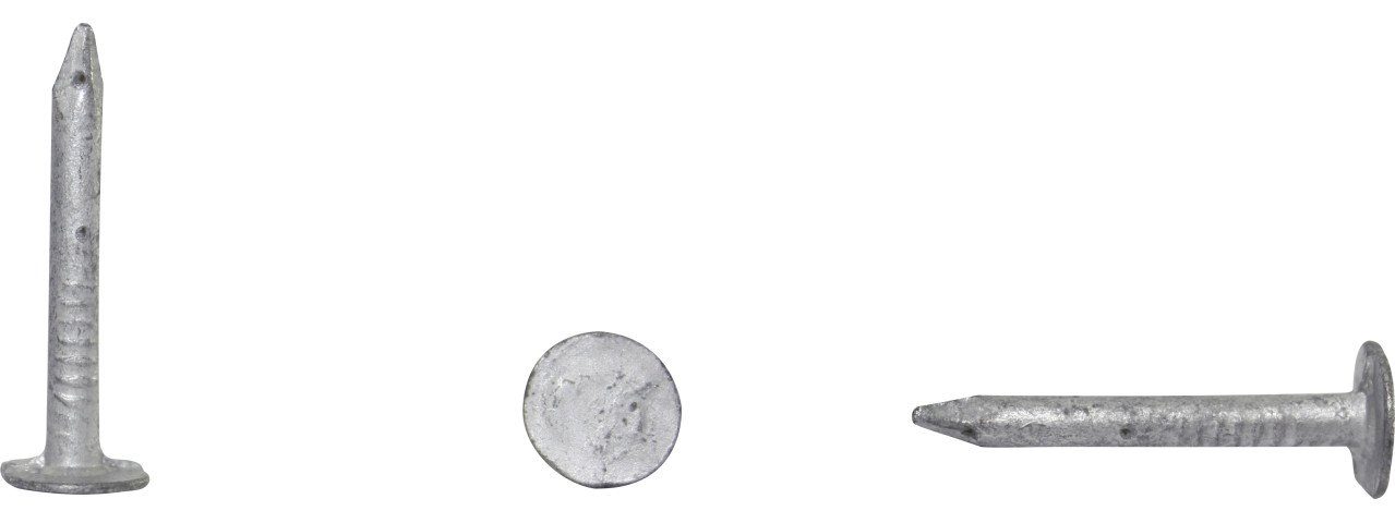 Sarei Haus- und Gartentechnik Dachpappe Sarei Pappnägel