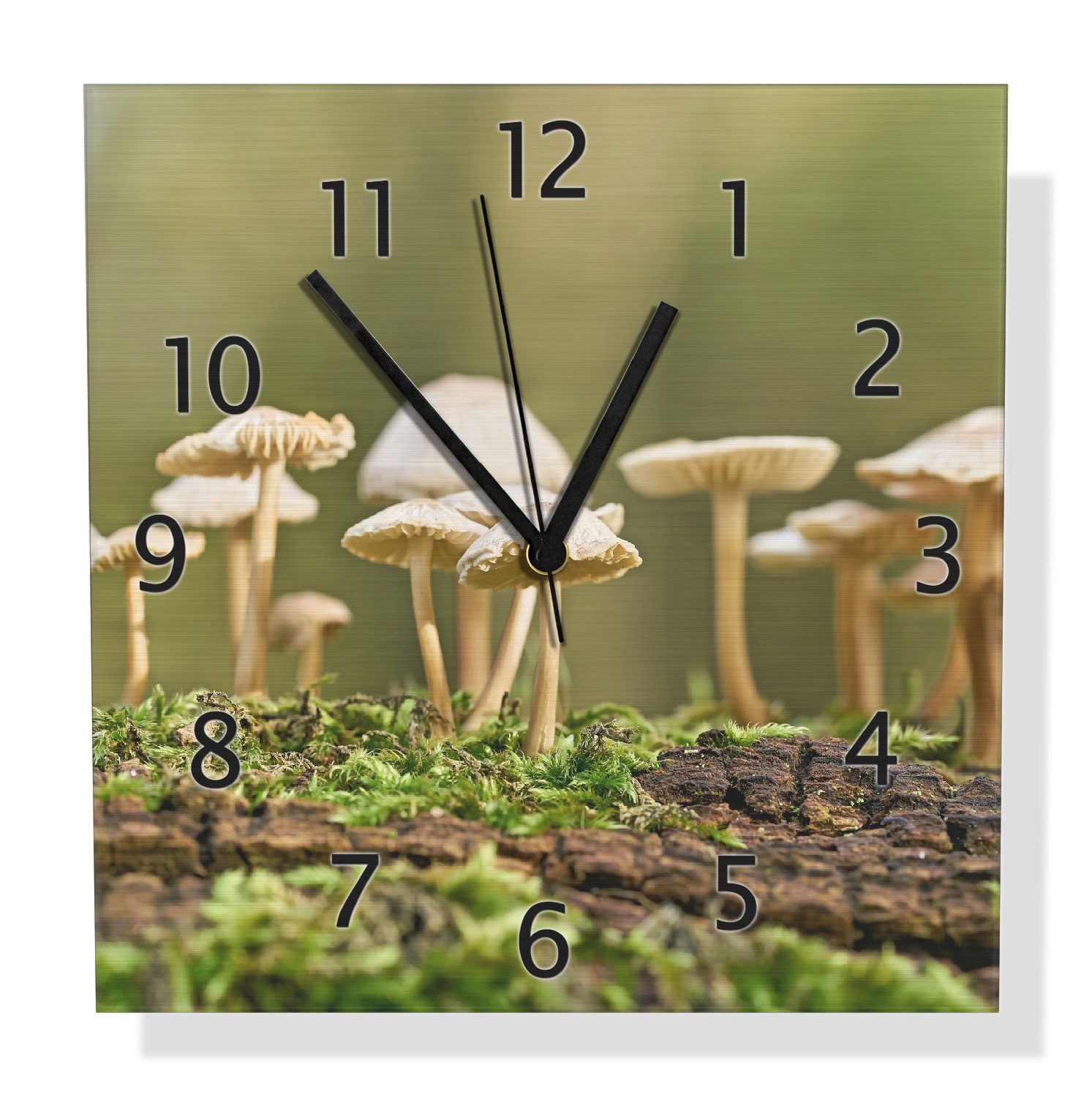 Wallario Wanduhr Pilze auf Baumstamm (Aluverbunduhr)