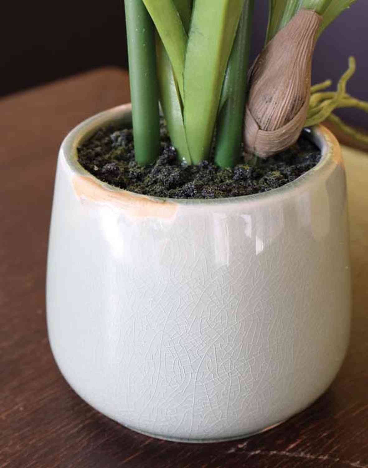 Kunstorchidee Cymbidium NALA im Keramiktopf, Creme, 55cm - Orchidee künstlich Orchidee (Orchidee cymbidium), artplants, Höhe 50.0 cm