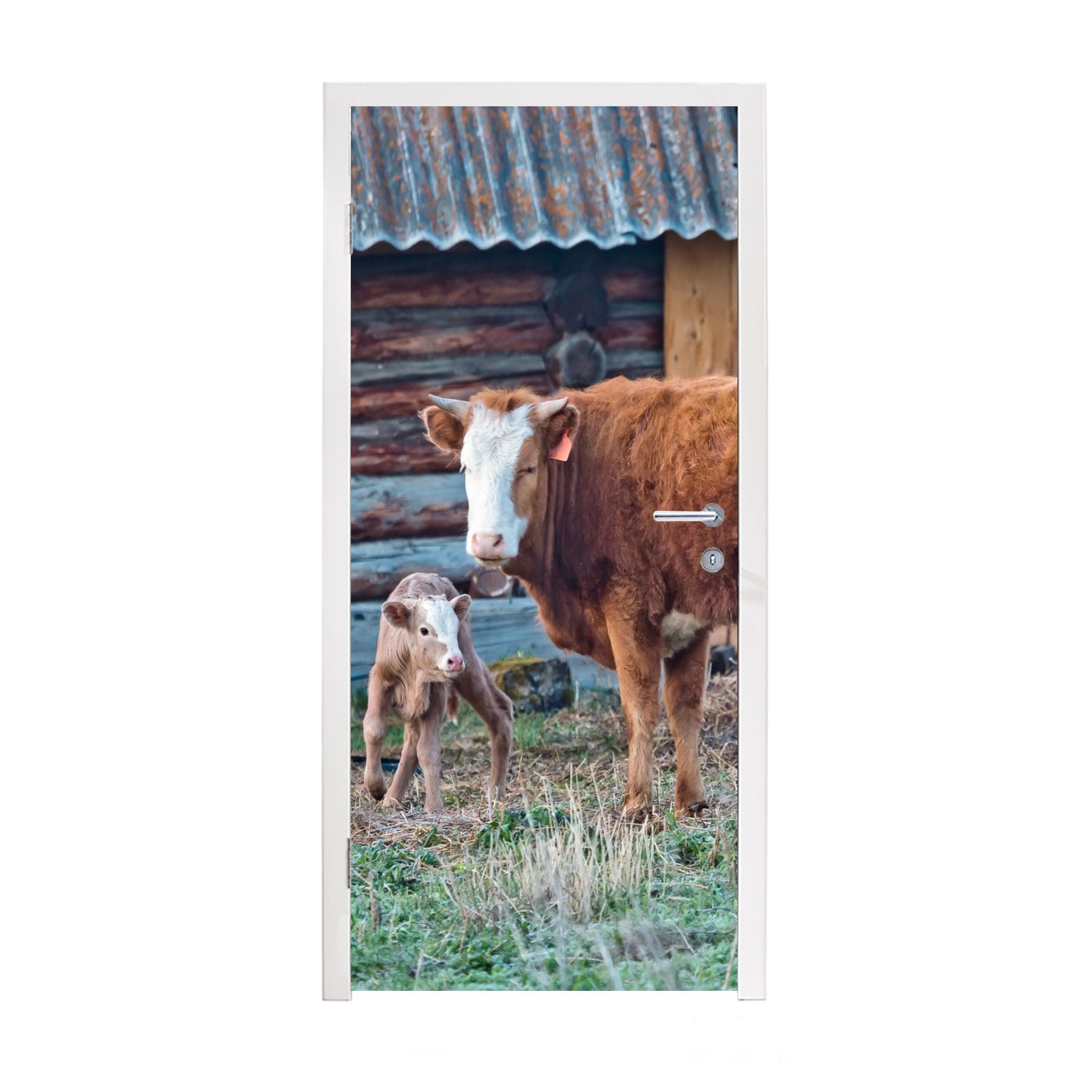 MuchoWow Türtapete Kuh - Stall - Gras - Kalb, Matt, bedruckt, (1 St), Fototapete für Tür, Türaufkleber, 75x205 cm