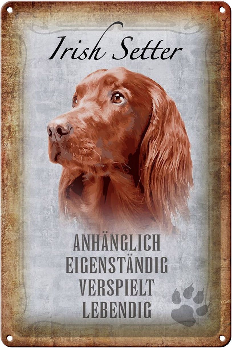 Femer GmbH Metallschild Spruch 20x30cm Irish Setter Hund, (1 St), gewölbte Oberfläche, abgerundete Ecken, umgeschlagene Kanten