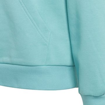 adidas Performance Hoodie G BOS HD