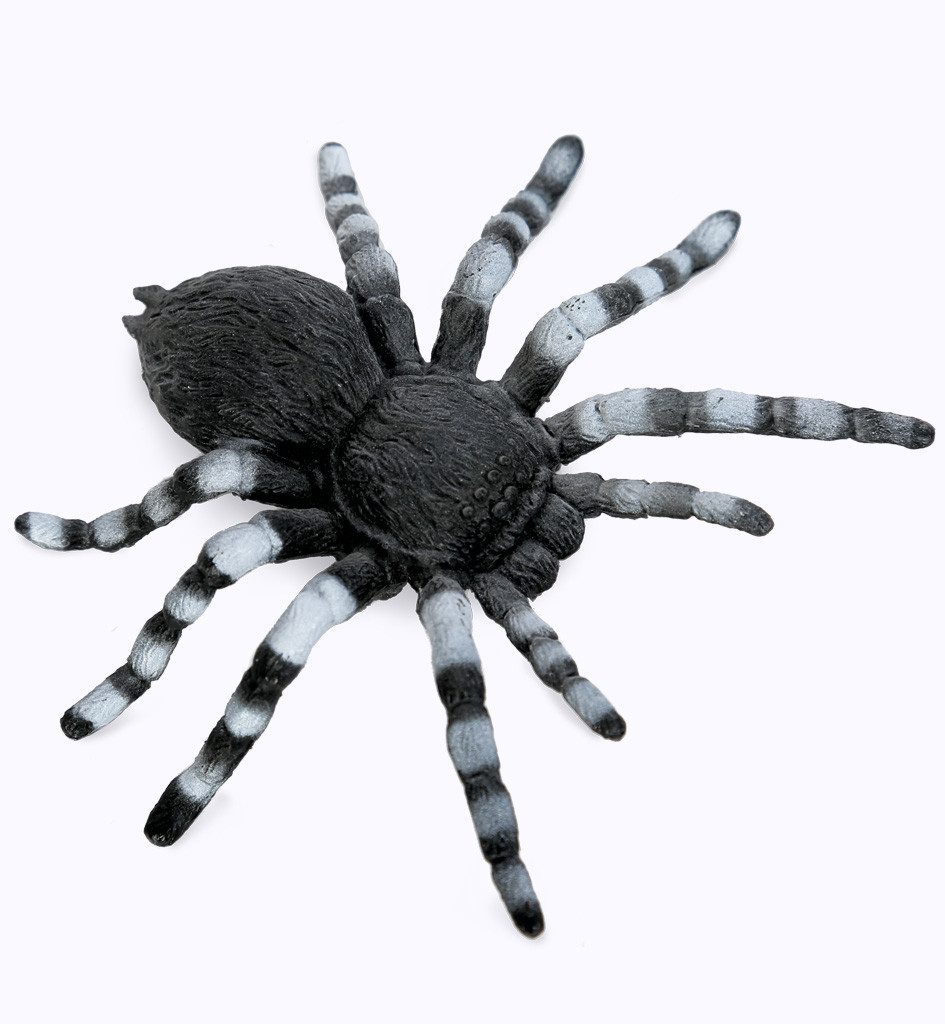 Fries Tierfigur Halloween XXL Deko Spinne 10 x 10 cm 2 Farben Fasching Karn günstig online kaufen