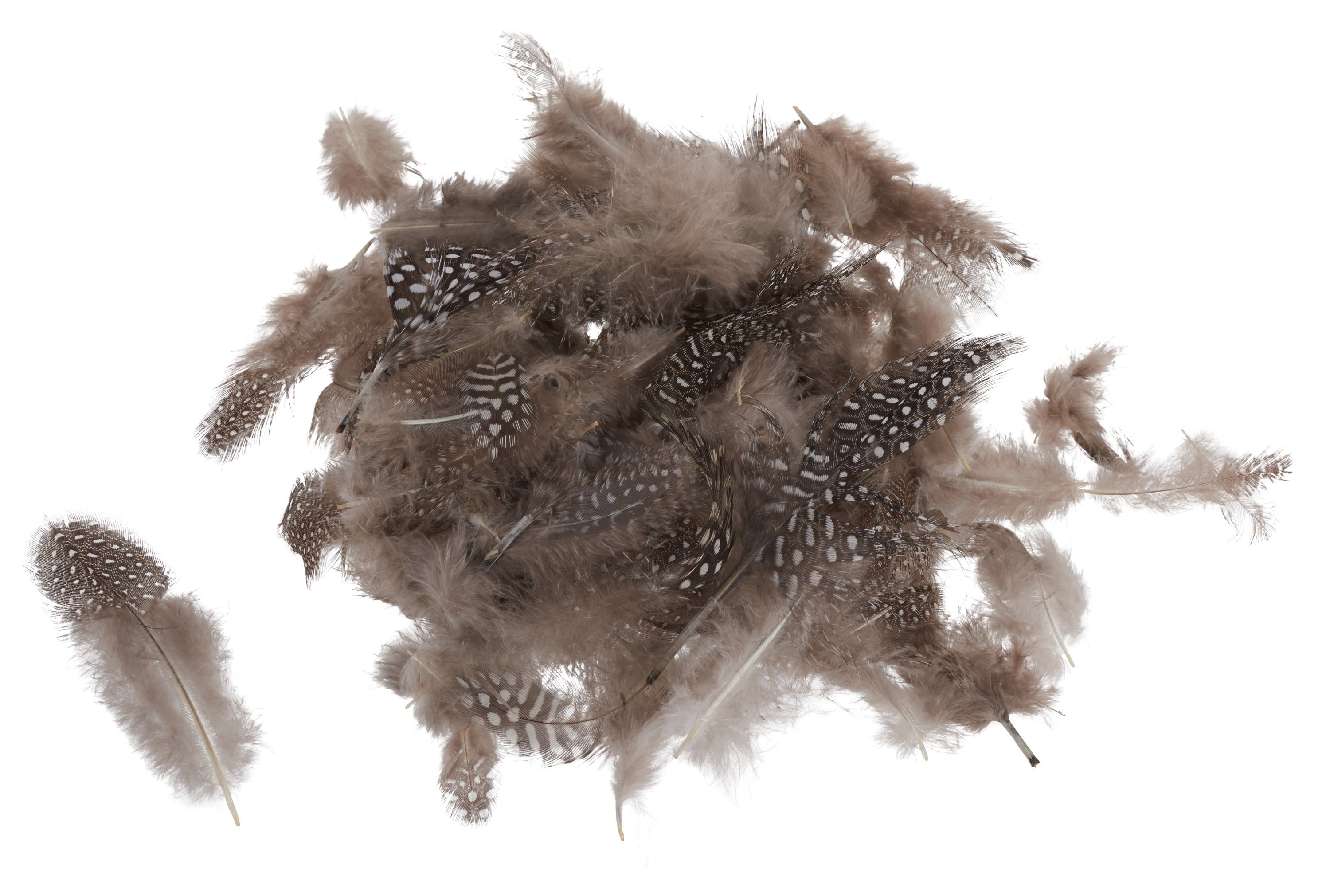 Othmar Decorations Bastelfedern