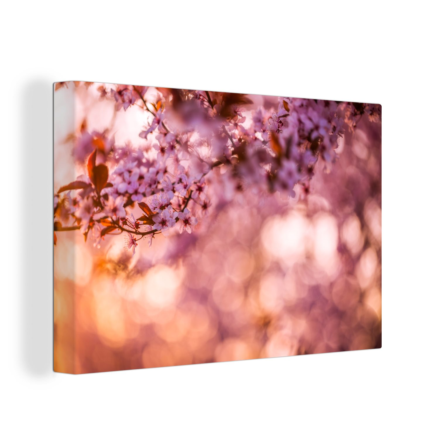 OneMillionCanvasses® Leinwandbild Abstrakte Nahaufnahme einer Kirschblüte, (1 St), Wandbild Leinwandbilder, Aufhängefertig, Wanddeko, 30x20 cm