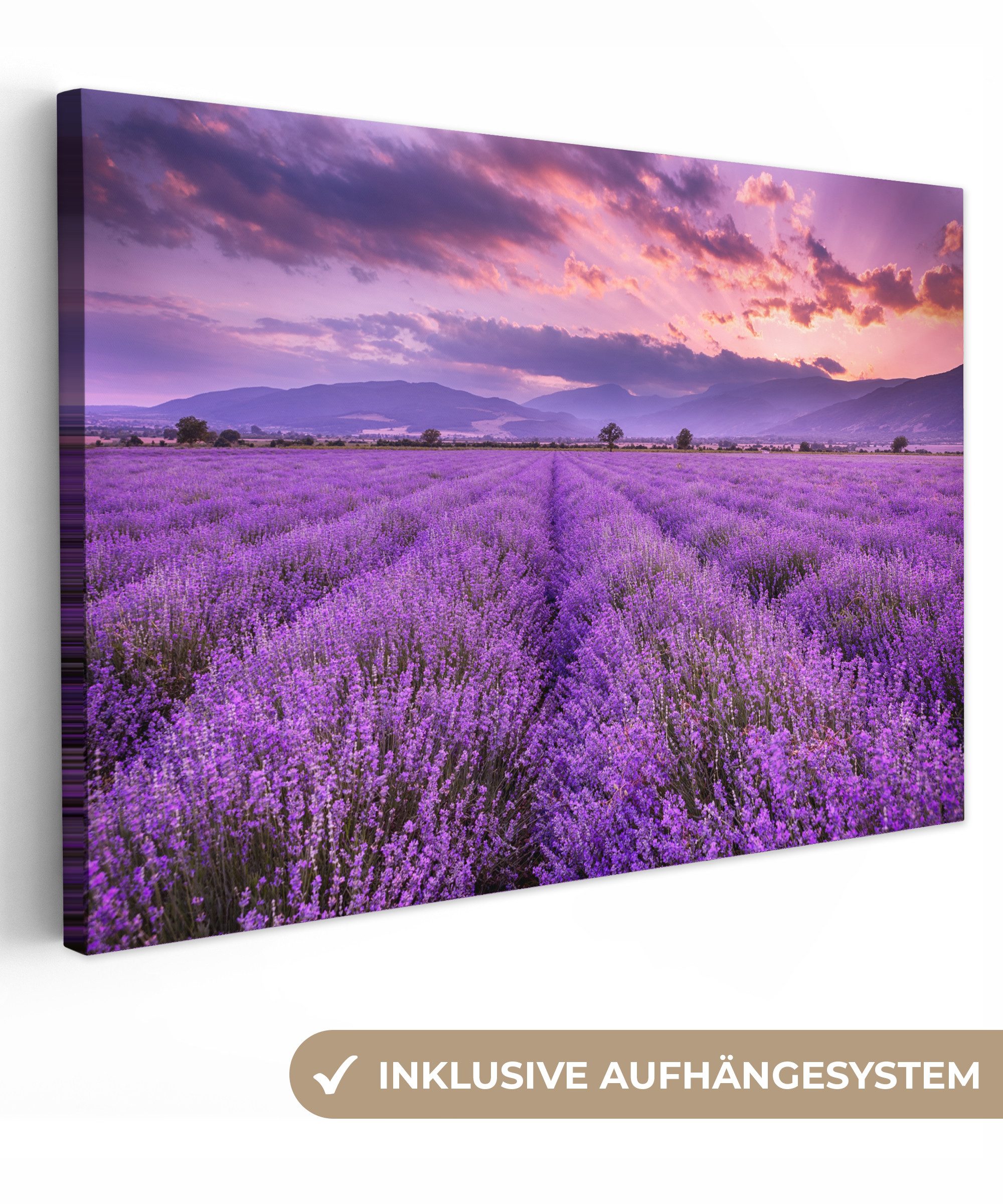 OneMillionCanvasses® Leinwandbild Lavendel - Lila - Blumen - Feld, Fotodruc günstig online kaufen