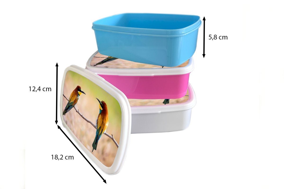Mädchen, Vögel - Brotbox (2-tlg), - Brotdose Kunststoff MuchoWow Bienenfresser Tiere, Kunststoff, Lunchbox Snackbox, Kinder, rosa für Erwachsene,