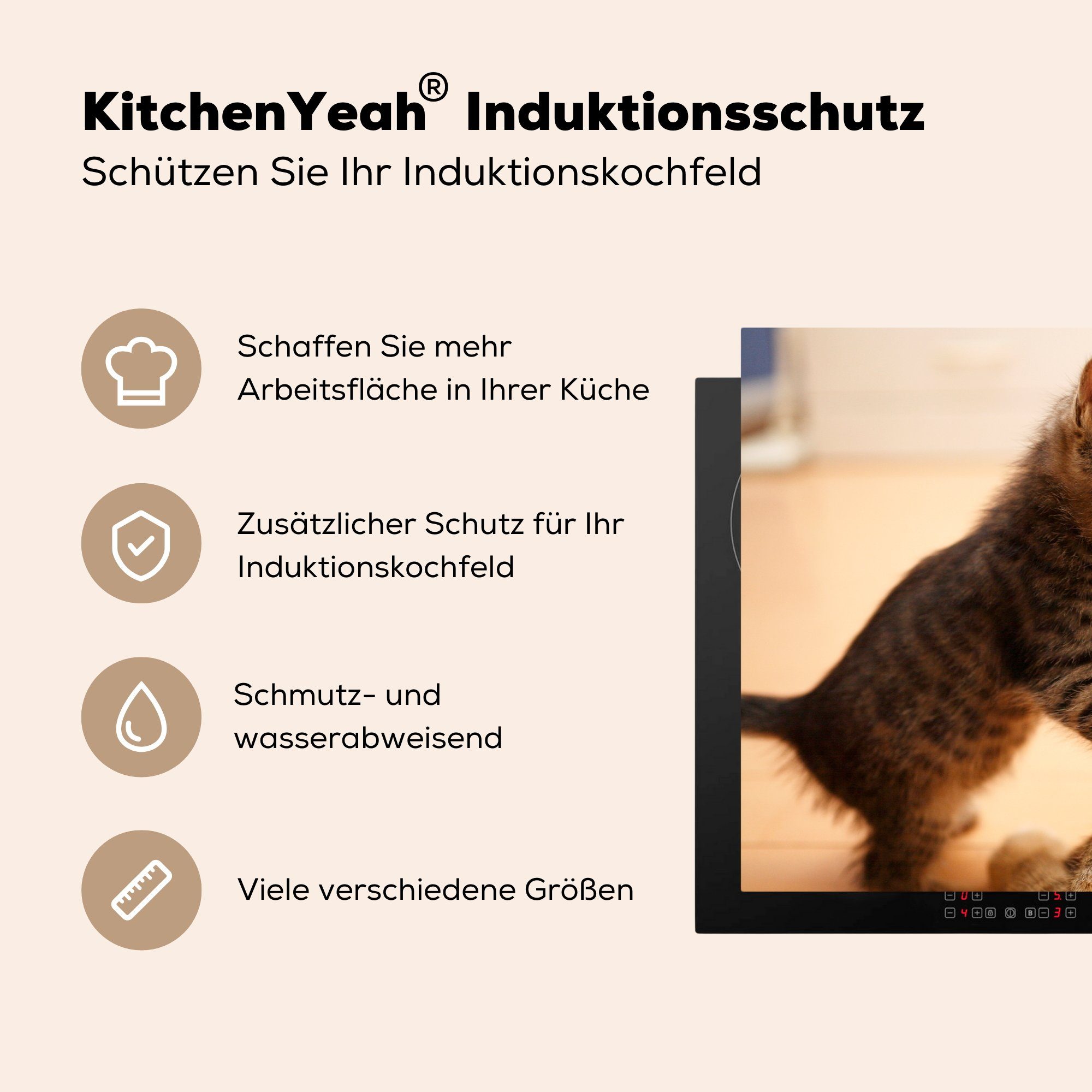 - Vinyl, Schutz Kätzchen Schwarz, (1 küche, cm, 81x52 Herdblende-/Abdeckplatte - für tlg), MuchoWow die Katze Ceranfeldabdeckung Induktionskochfeld