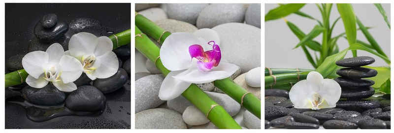 Levandeo® Wandbild, Wandbild 3er Set je 30x30cm Aluminium Dibond Orchideen Bambus Steine